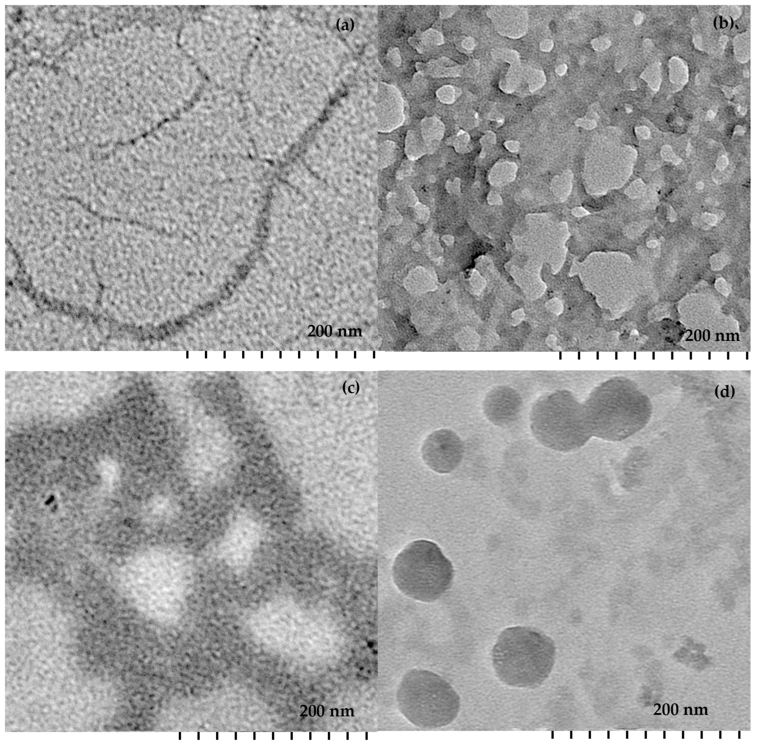 Pharmaceuticals 16 00699 g006 Pharmaceuticals 16 00699 g006