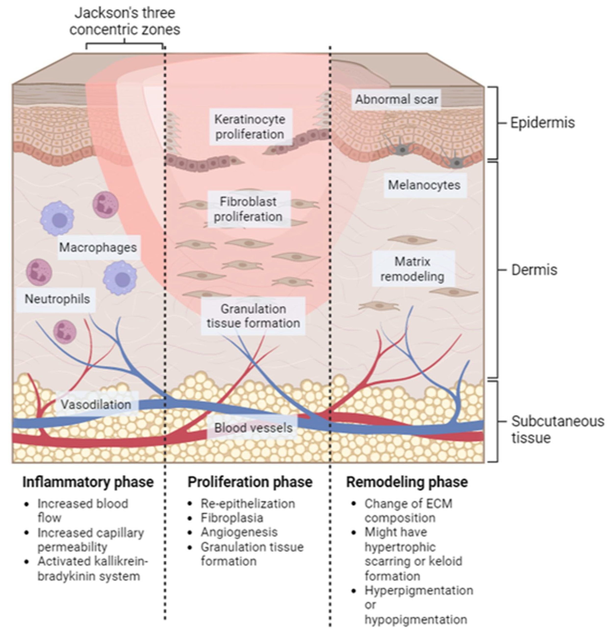 Pharmaceuticals 16 00701 g002