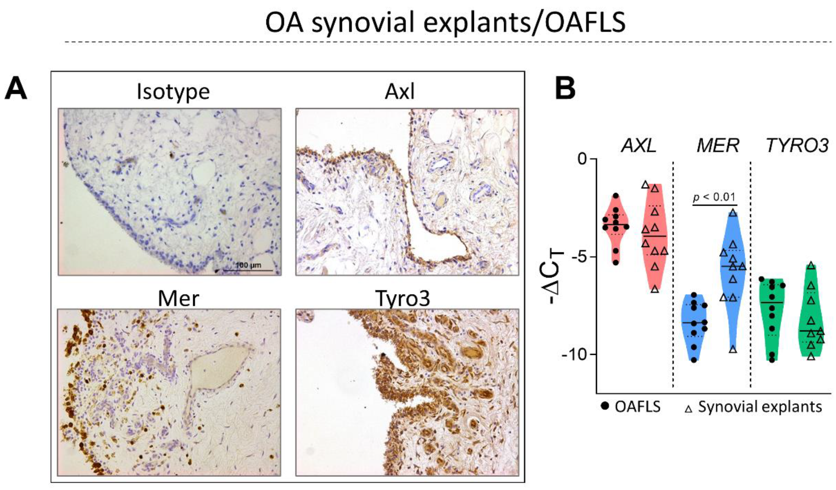 Pharmaceuticals 16 00703 g001 Pharmaceuticals 16 00703 g001
