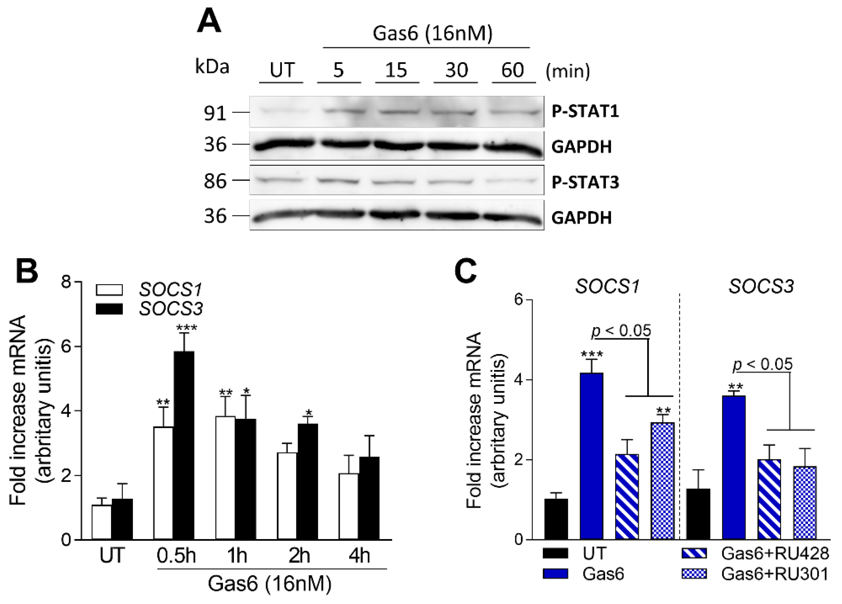 Pharmaceuticals 16 00703 g006 Pharmaceuticals 16 00703 g006