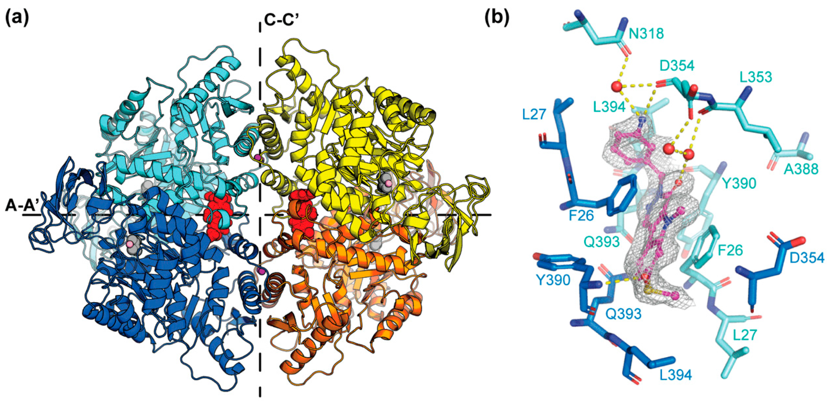 Pharmaceuticals 16 00705 g003