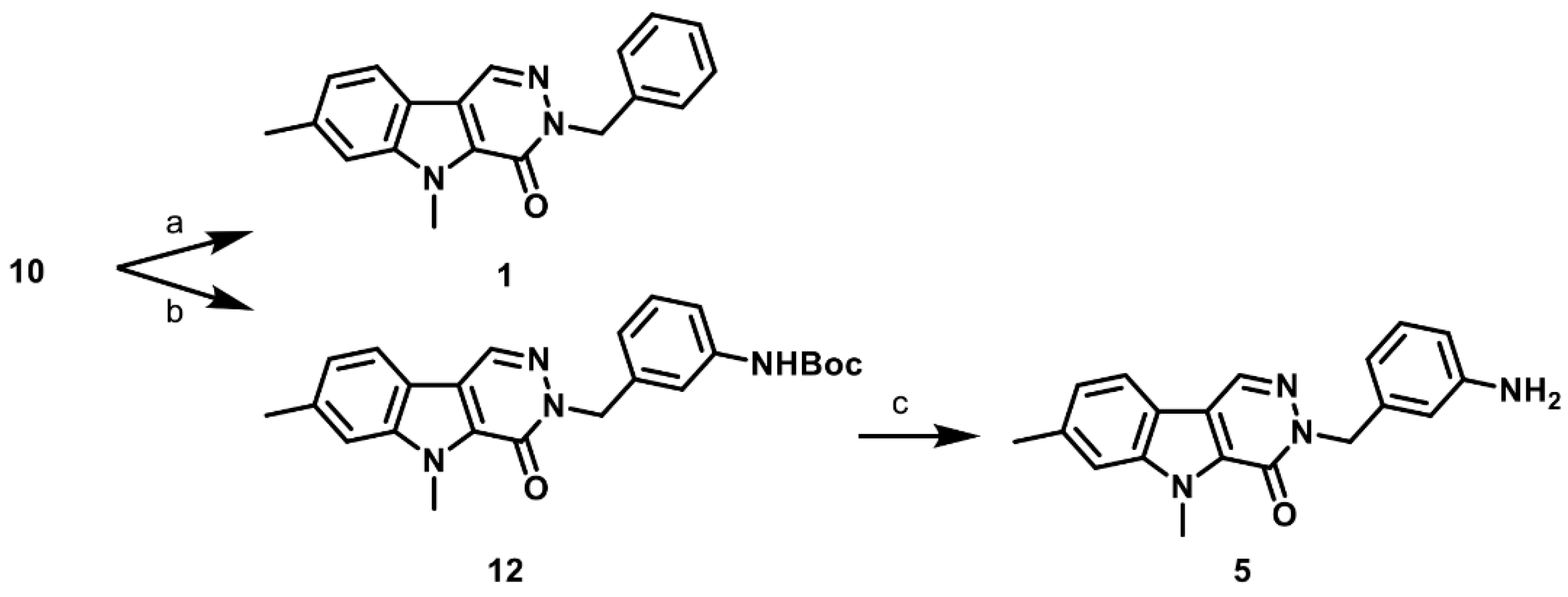 Pharmaceuticals 16 00705 sch002