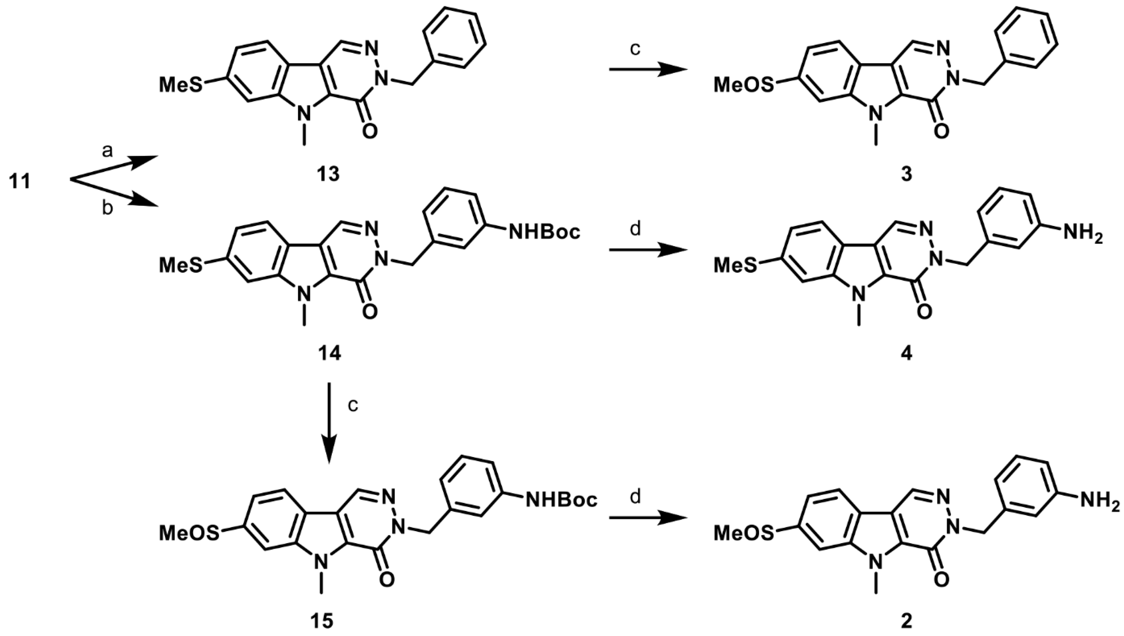 Pharmaceuticals 16 00705 sch003