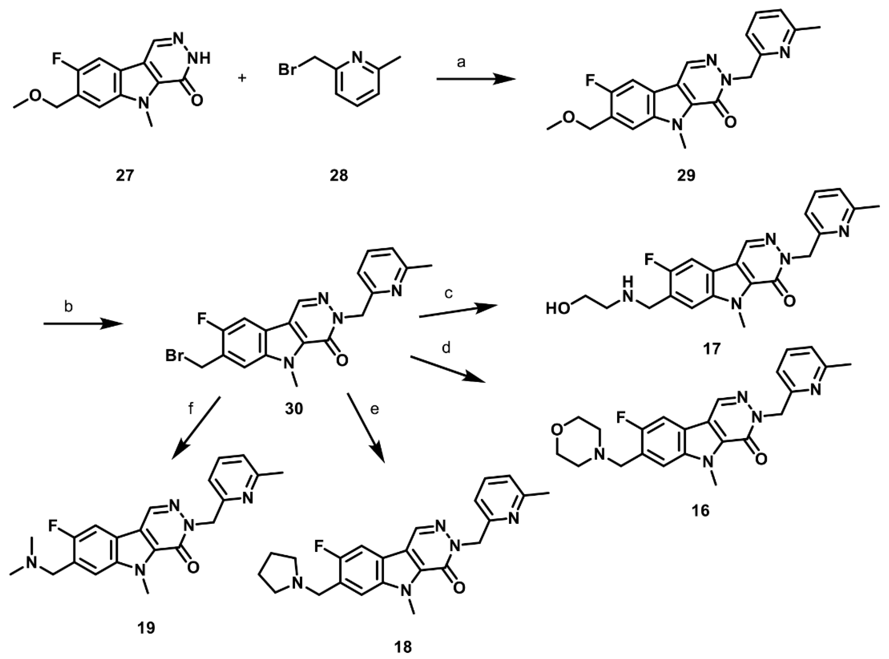 Pharmaceuticals 16 00705 sch005