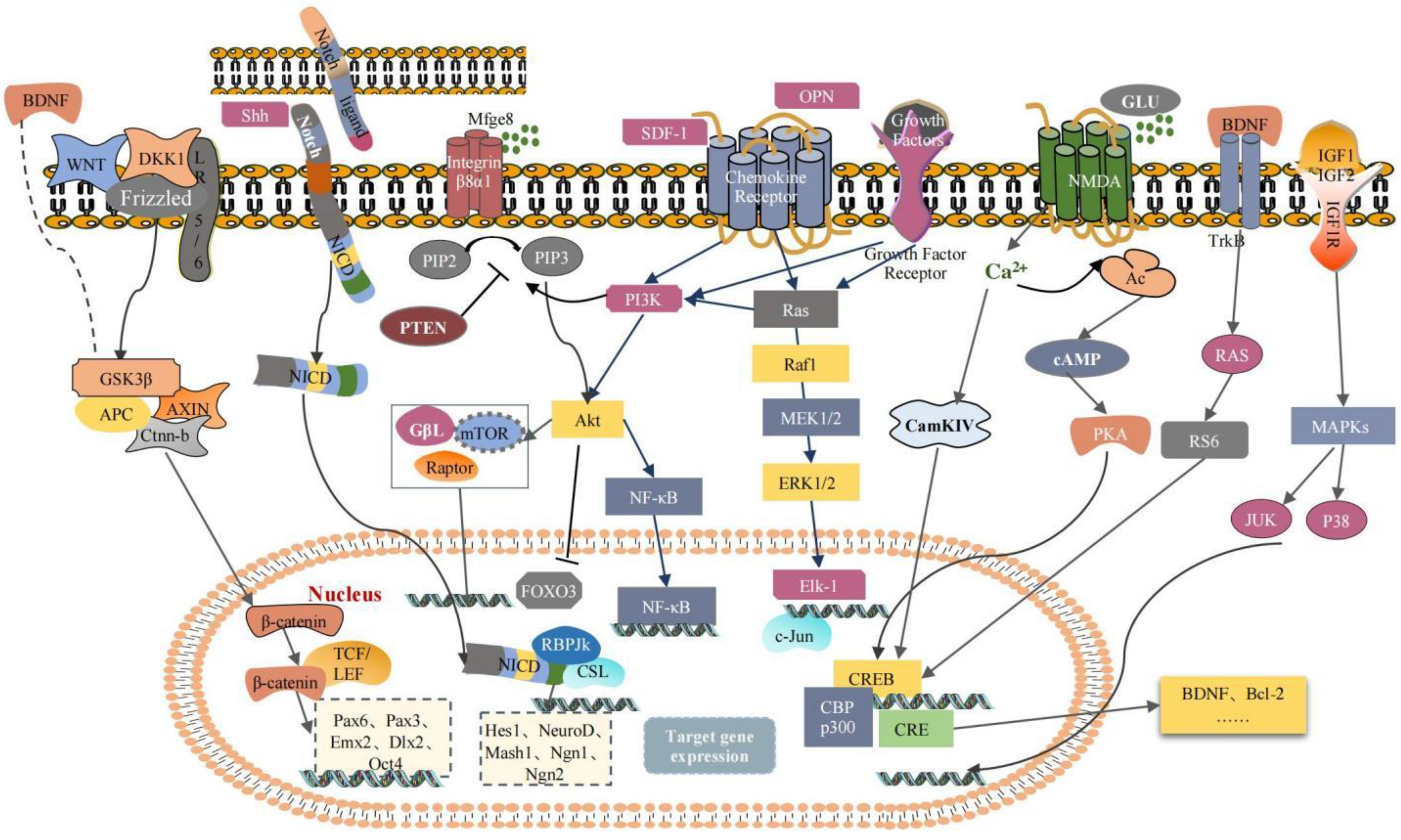 Pharmaceuticals 16 00706 g002 Pharmaceuticals 16 00706 g002