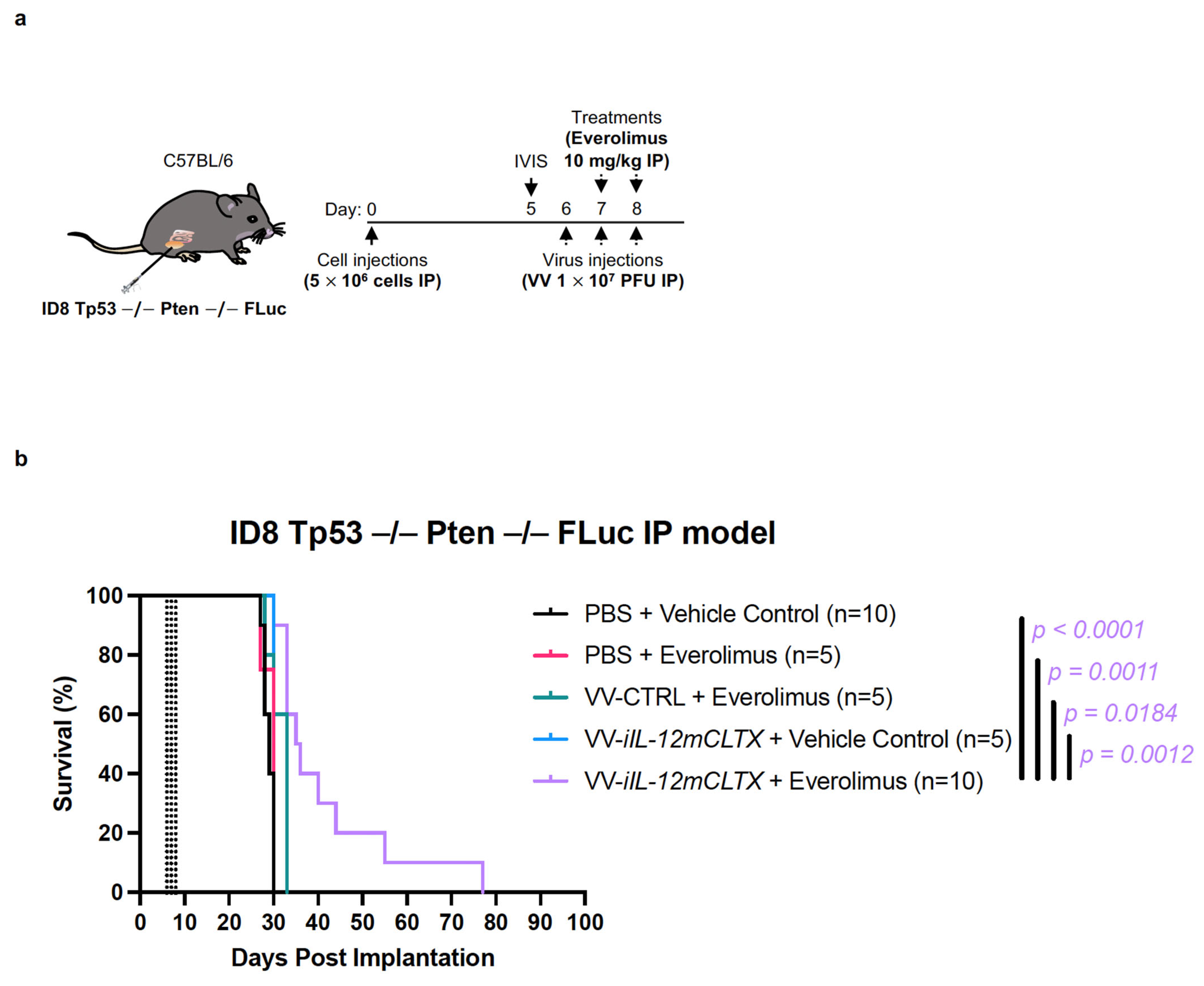 Pharmaceuticals 16 00709 g005 Pharmaceuticals 16 00709 g005