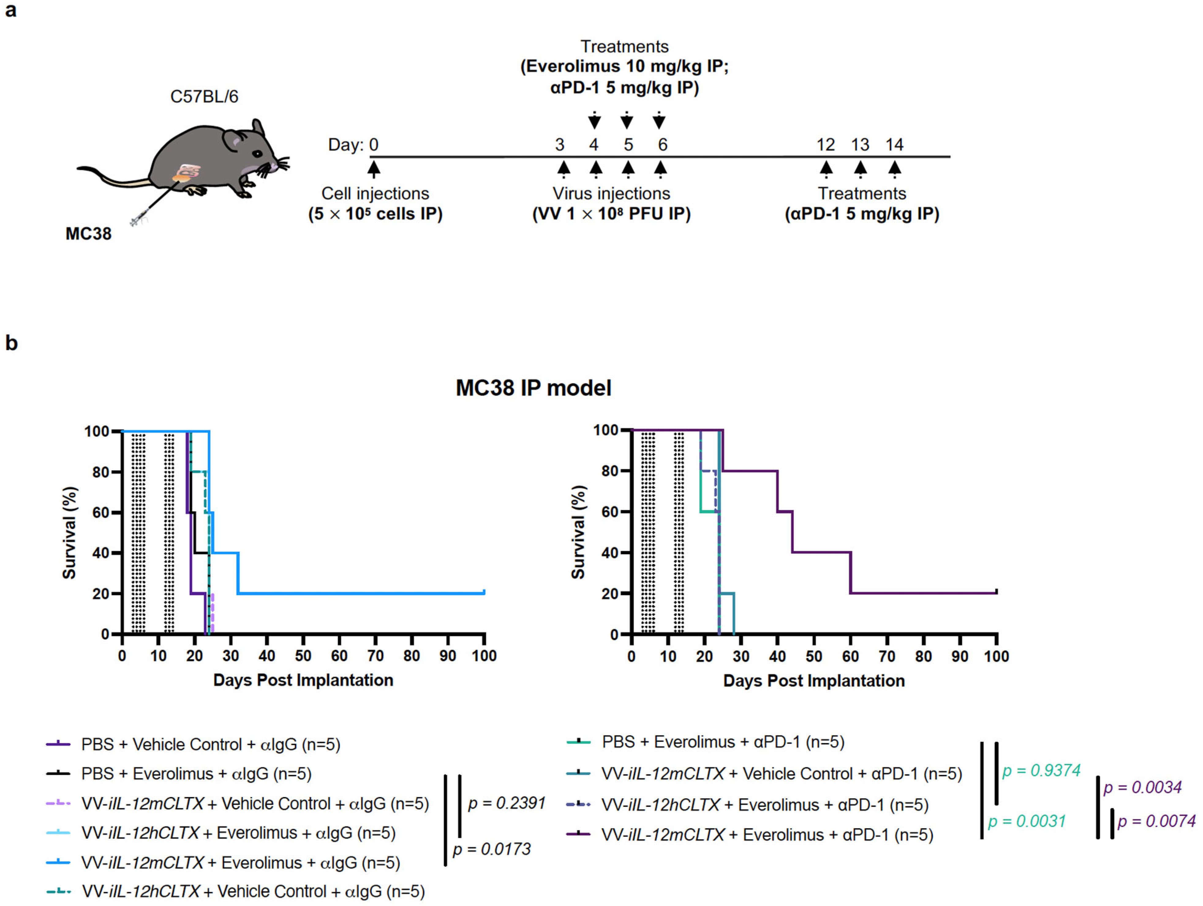 Pharmaceuticals 16 00709 g006 Pharmaceuticals 16 00709 g006