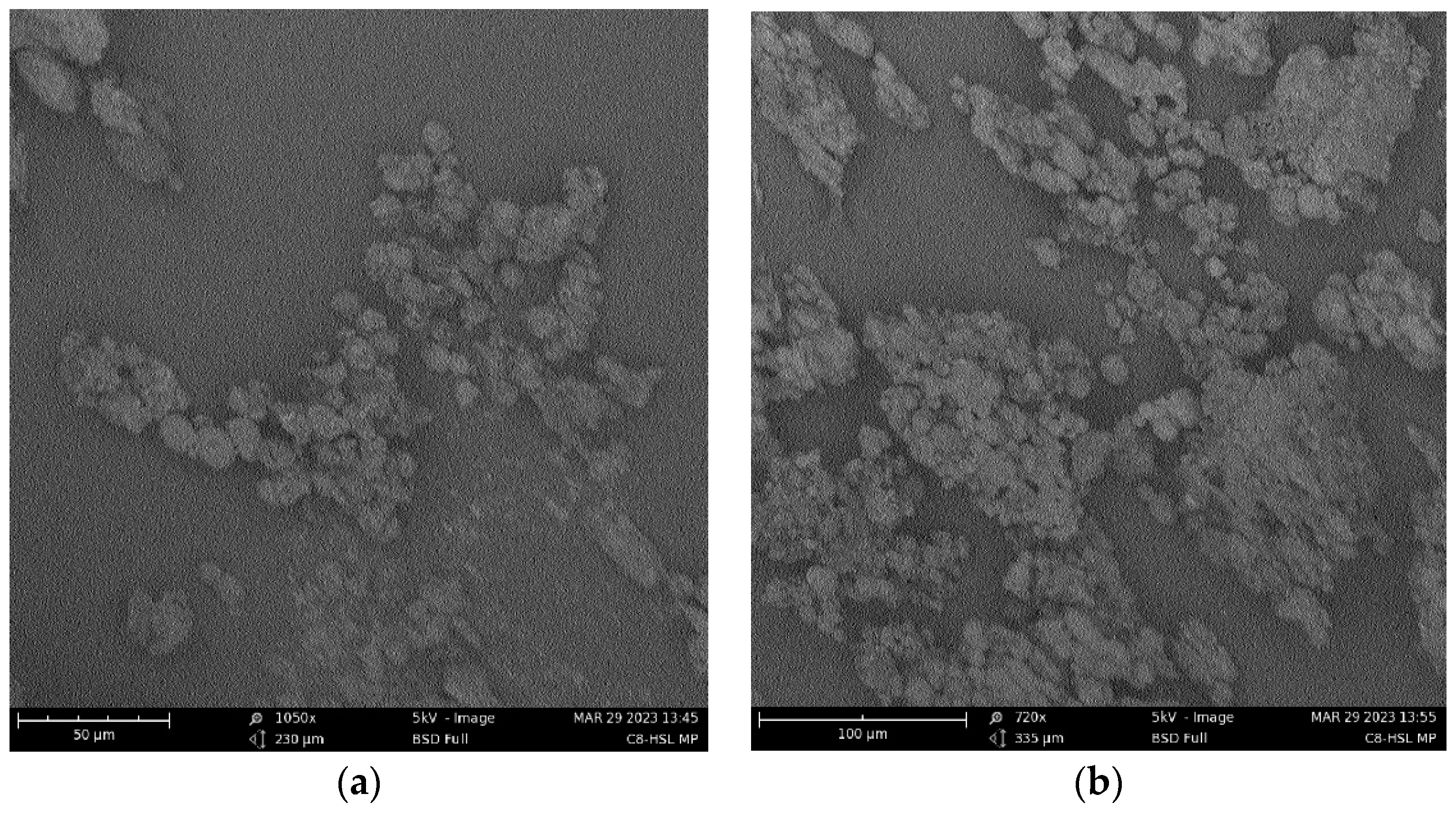 Pharmaceuticals 16 00713 g002a Pharmaceuticals 16 00713 g002a