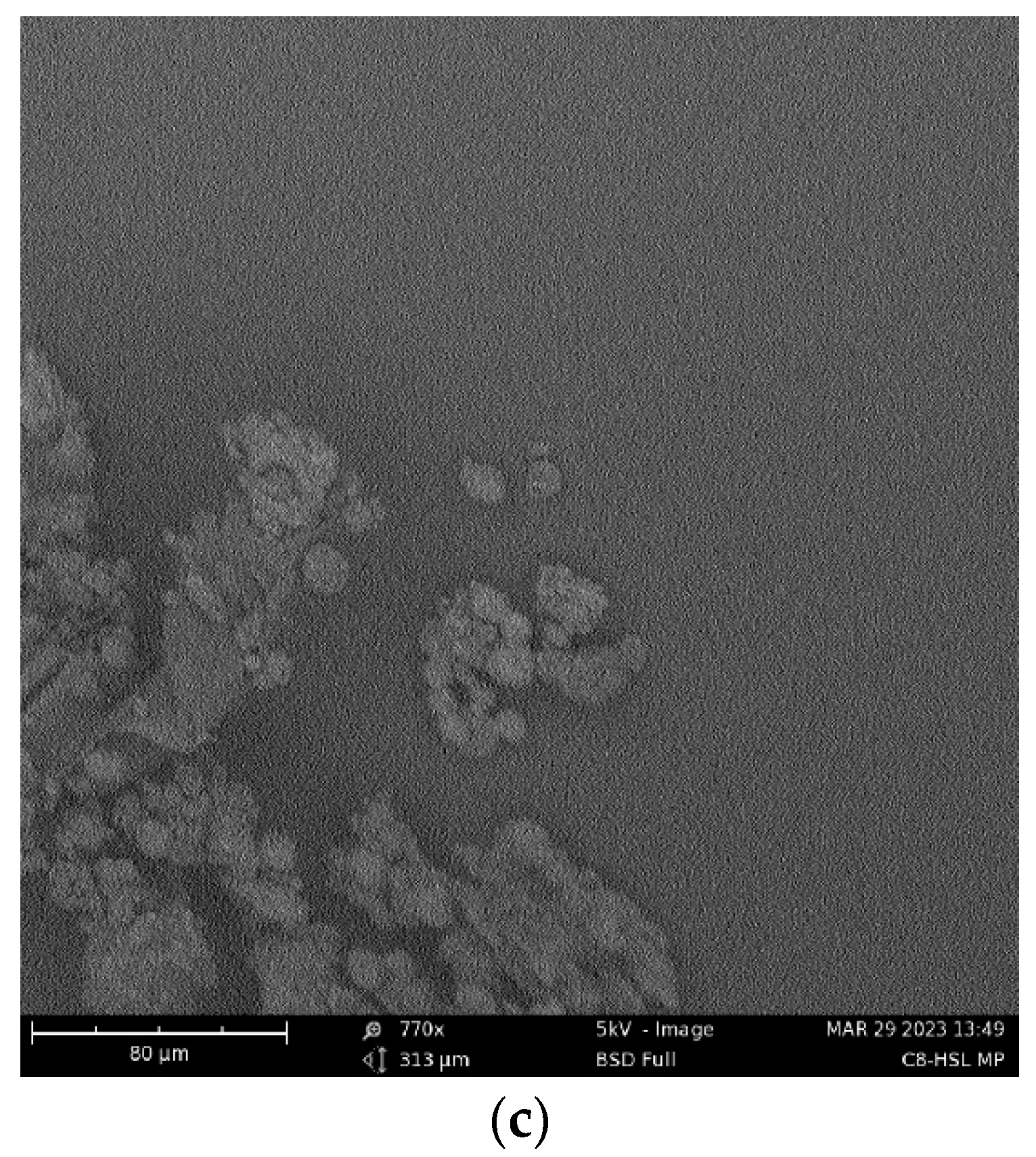 Pharmaceuticals 16 00713 g002b Pharmaceuticals 16 00713 g002b