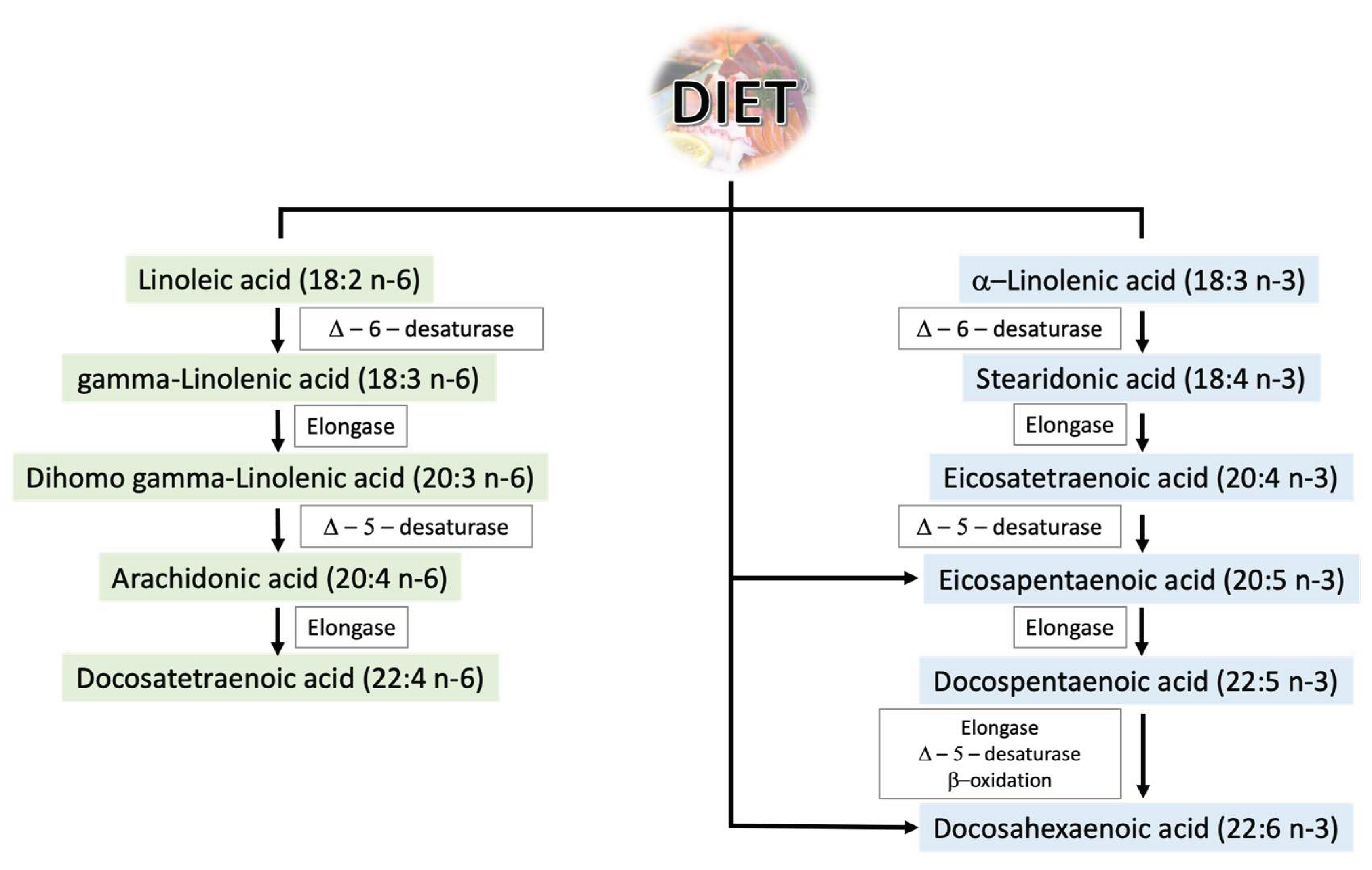 Pharmaceuticals 16 00723 g002