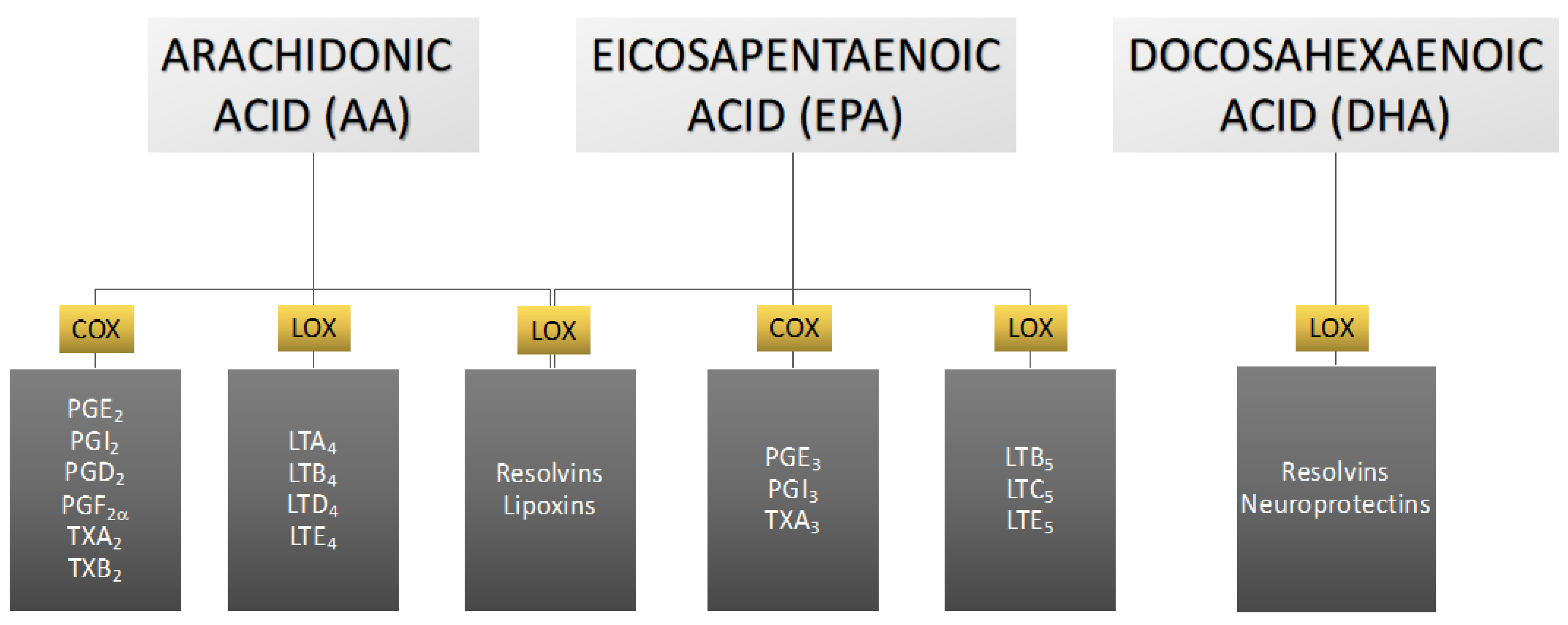 Pharmaceuticals 16 00723 g003
