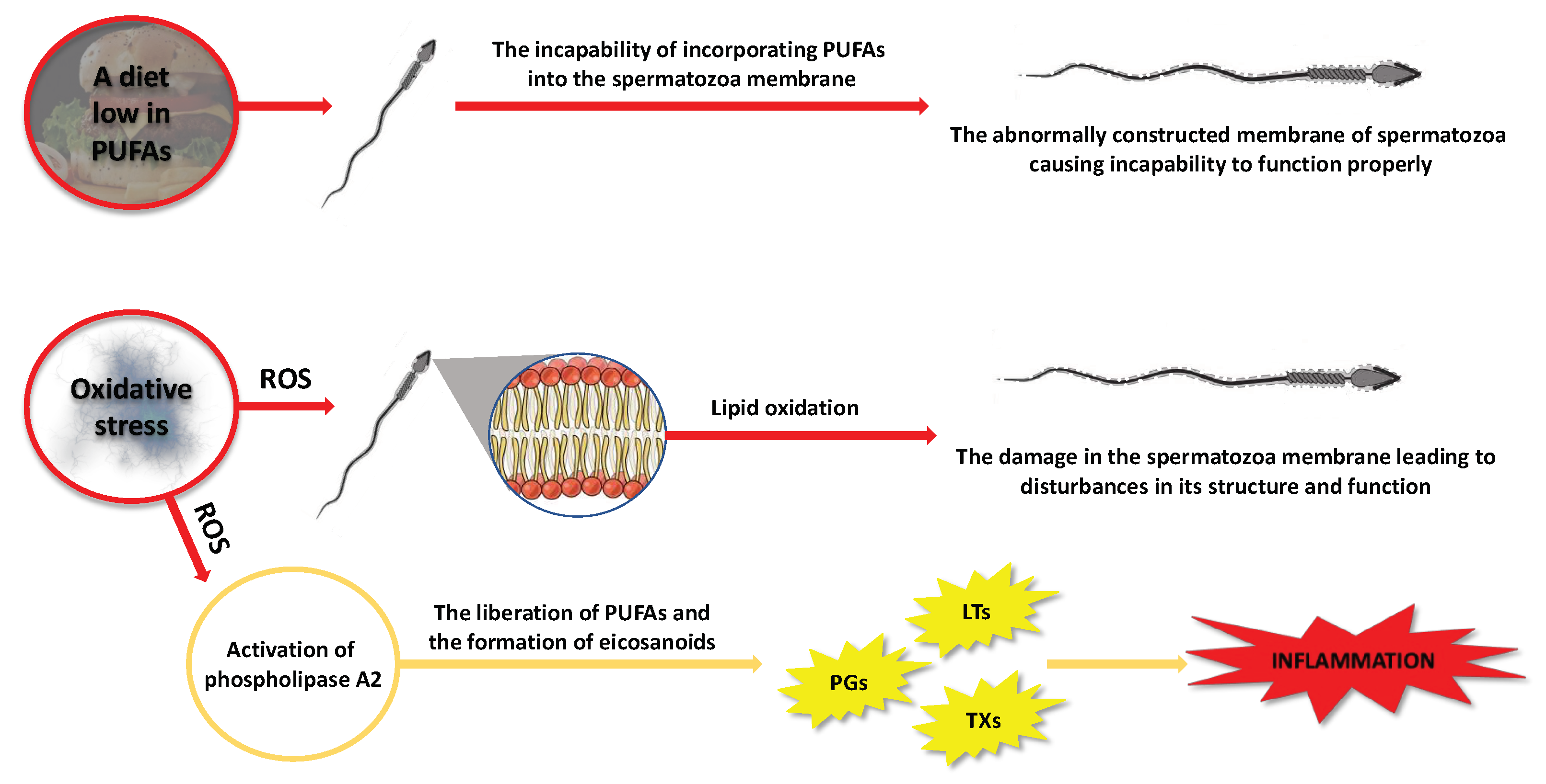 Pharmaceuticals 16 00723 g005