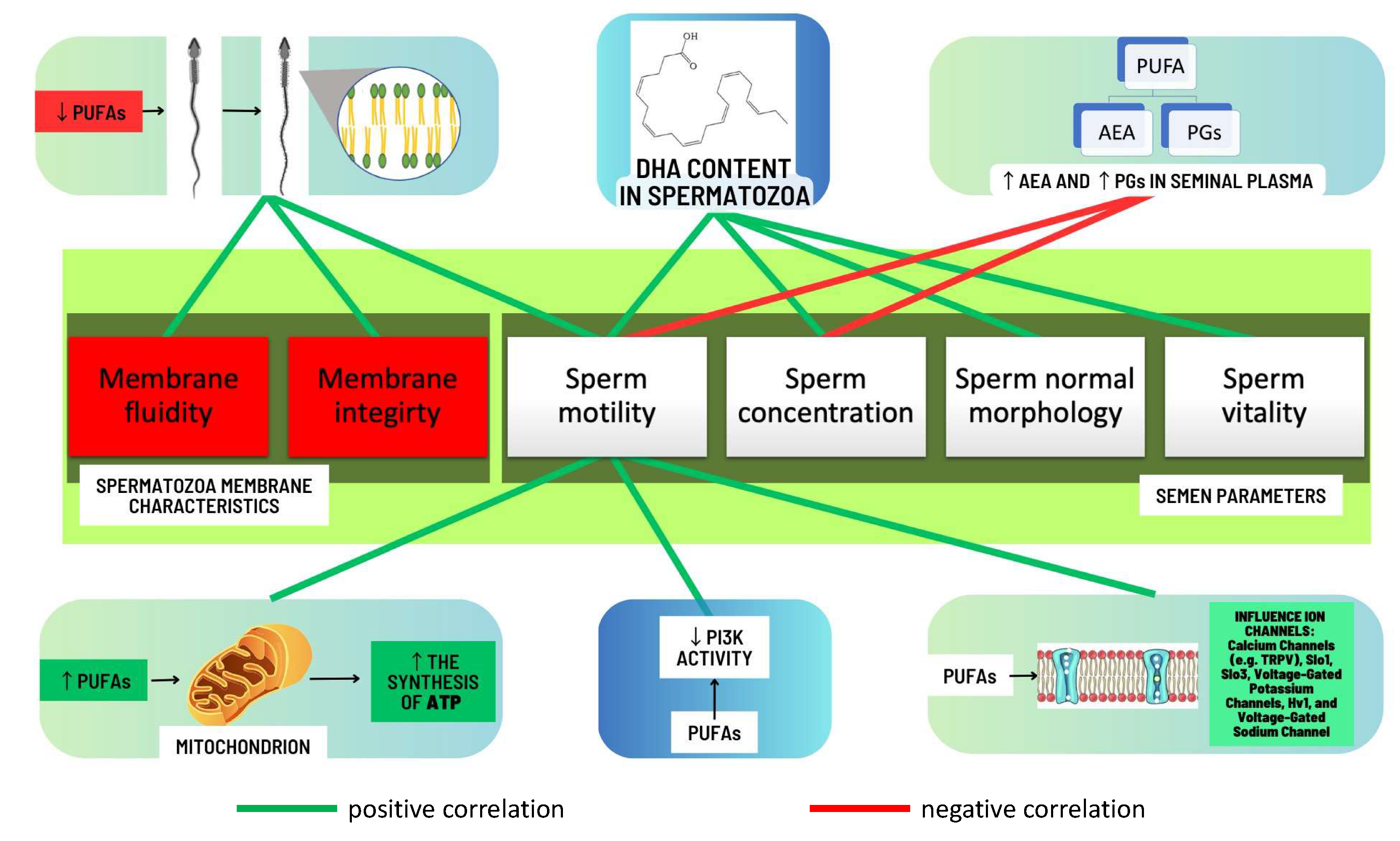 Pharmaceuticals 16 00723 g007