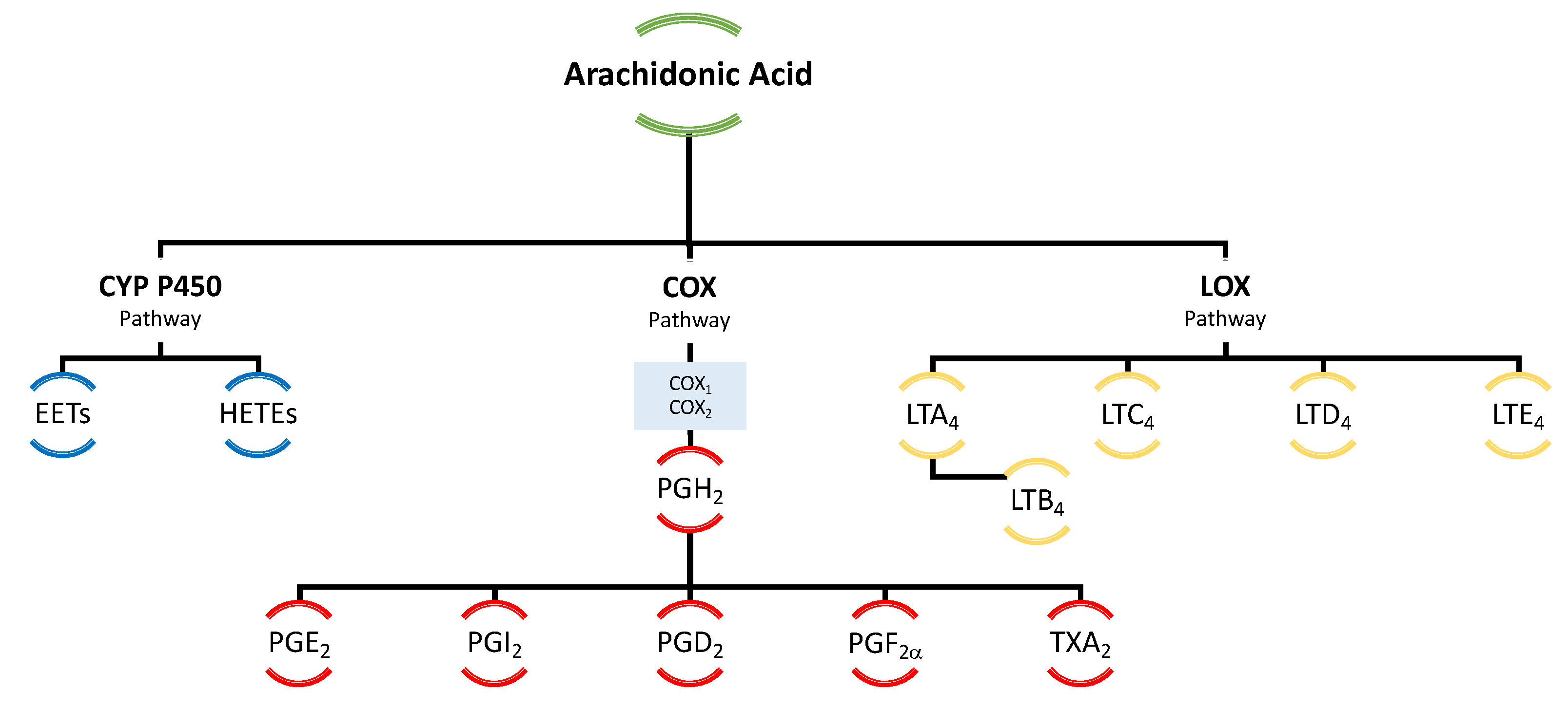 Pharmaceuticals 16 00723 g009