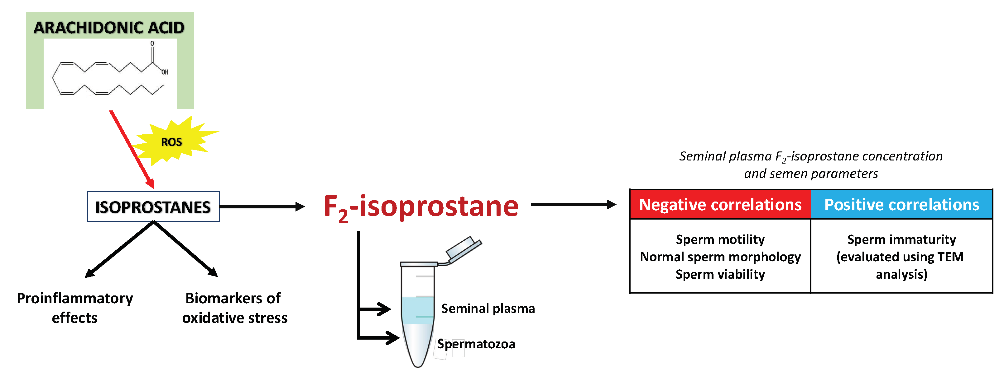 Pharmaceuticals 16 00723 g010