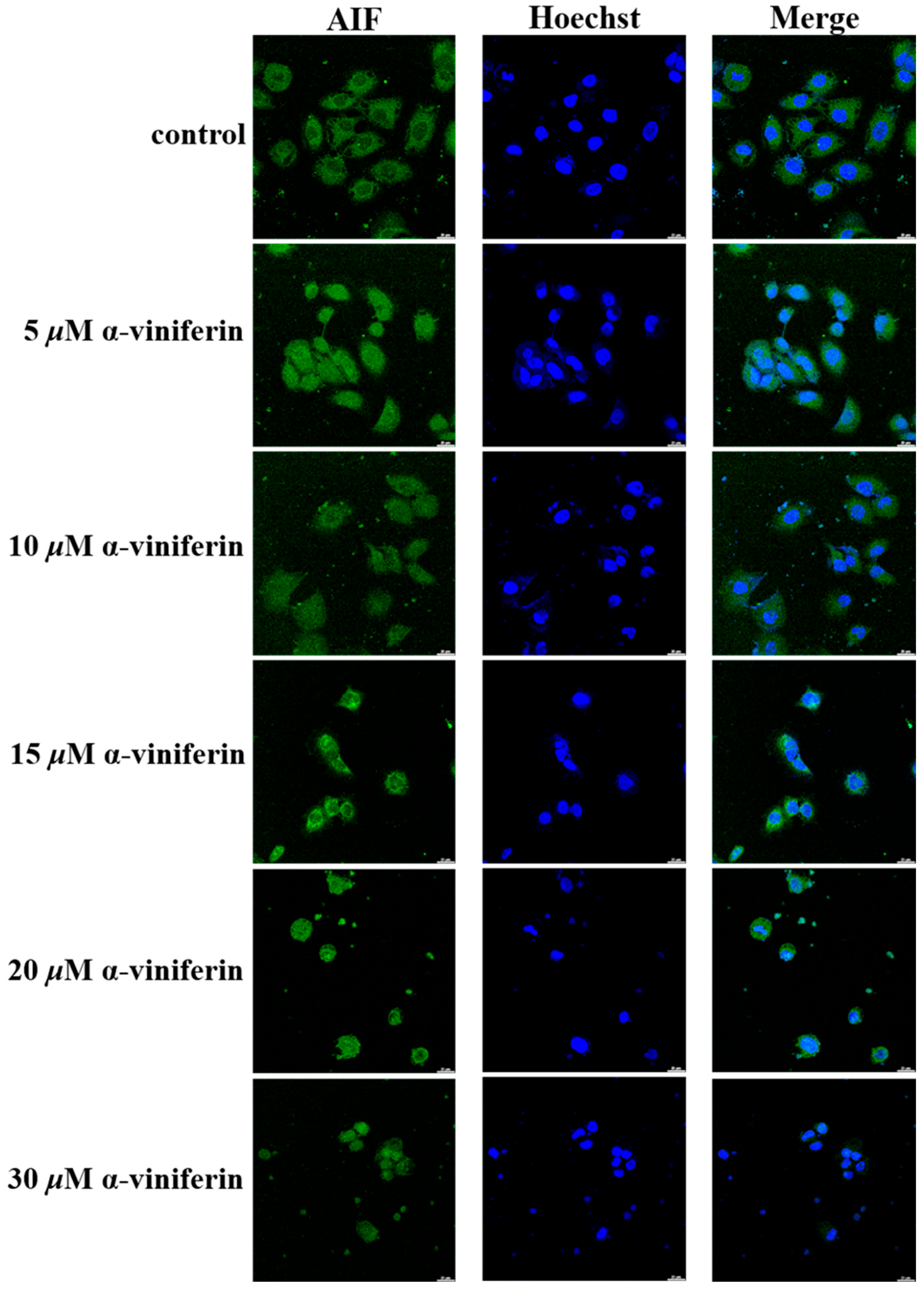 Pharmaceuticals 16 00727 g004 Pharmaceuticals 16 00727 g004