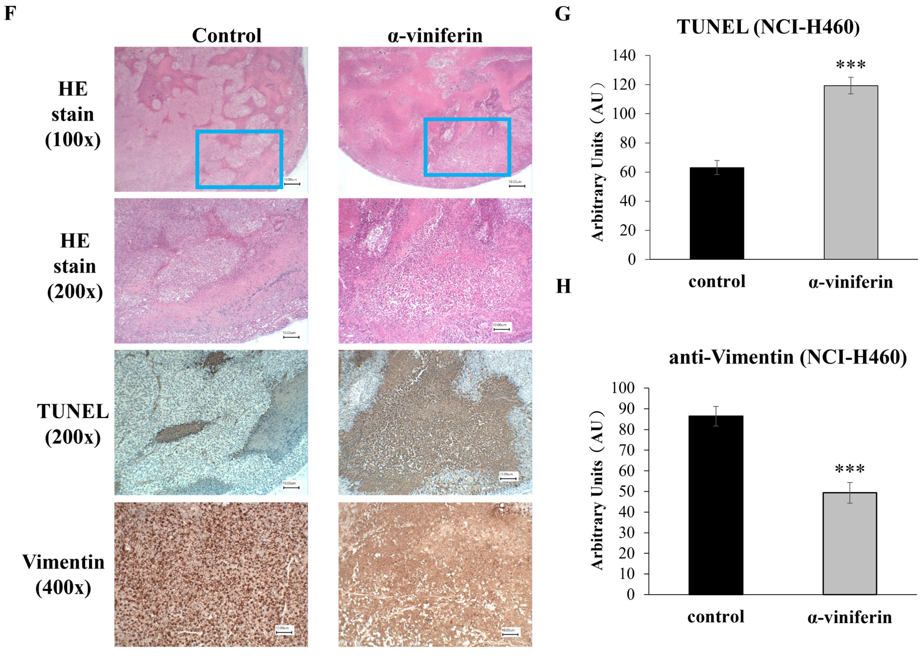 Pharmaceuticals 16 00727 g005b Pharmaceuticals 16 00727 g005b