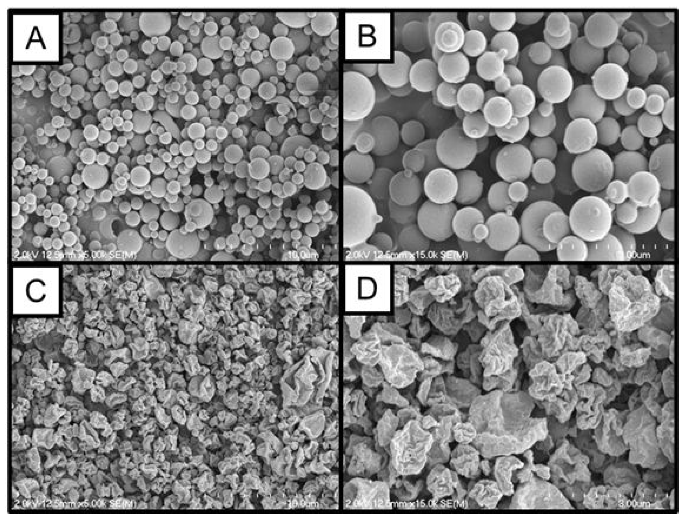 Pharmaceuticals 16 00729 g001 Pharmaceuticals 16 00729 g001