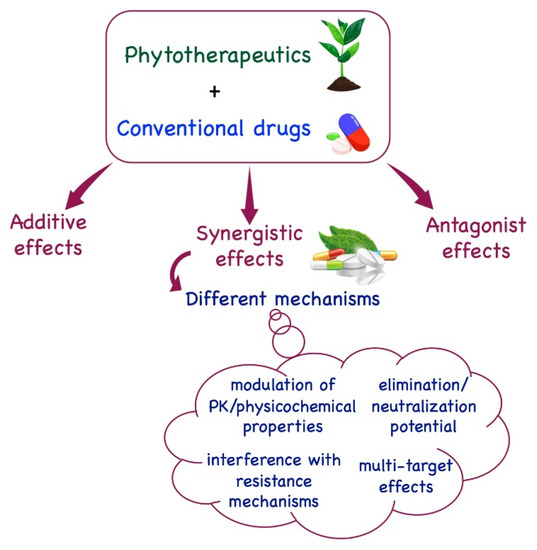 Pharmaceuticals Free FullText Synergistic Effects of Caffeine in