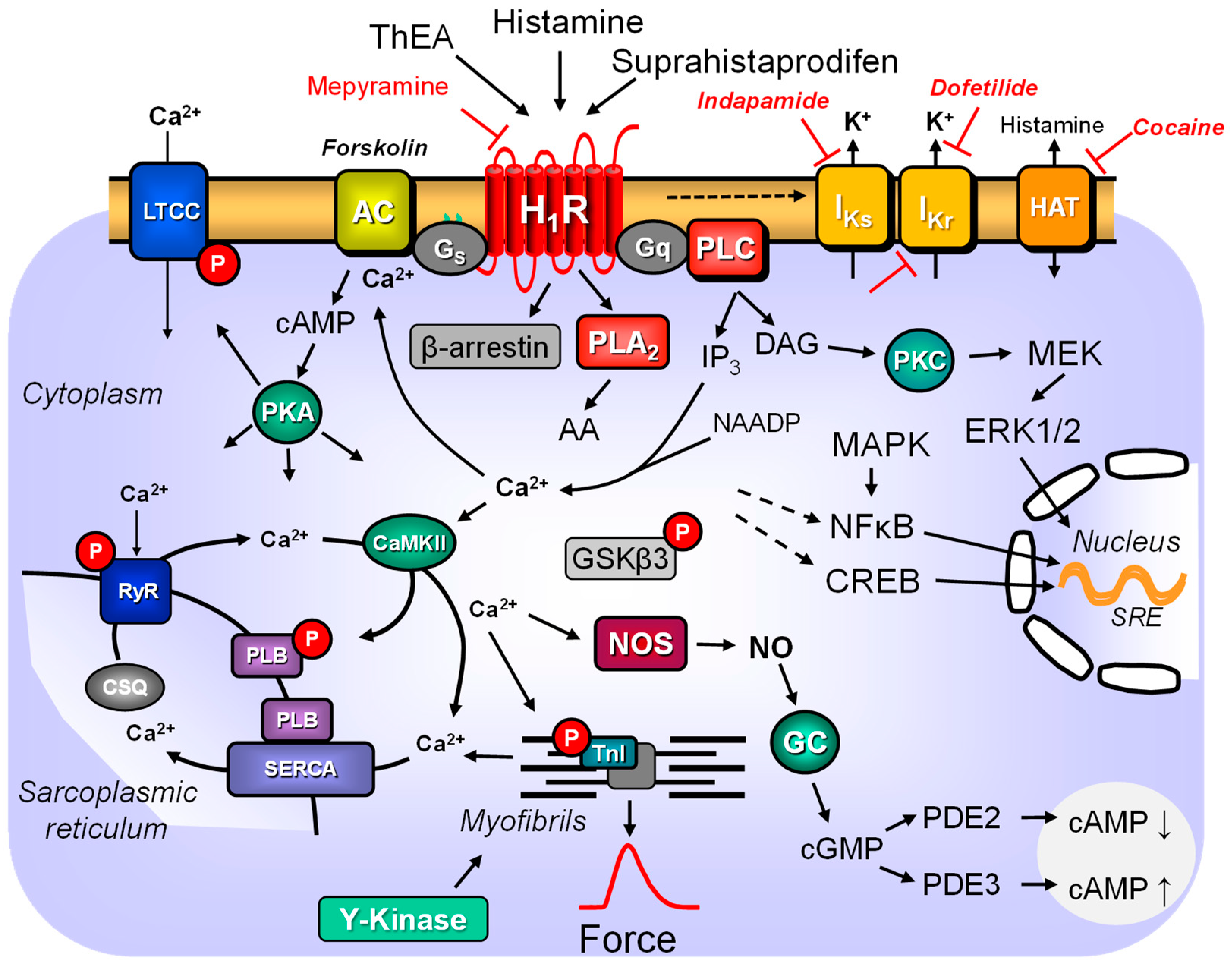 Pharmaceuticals 16 00734 g001