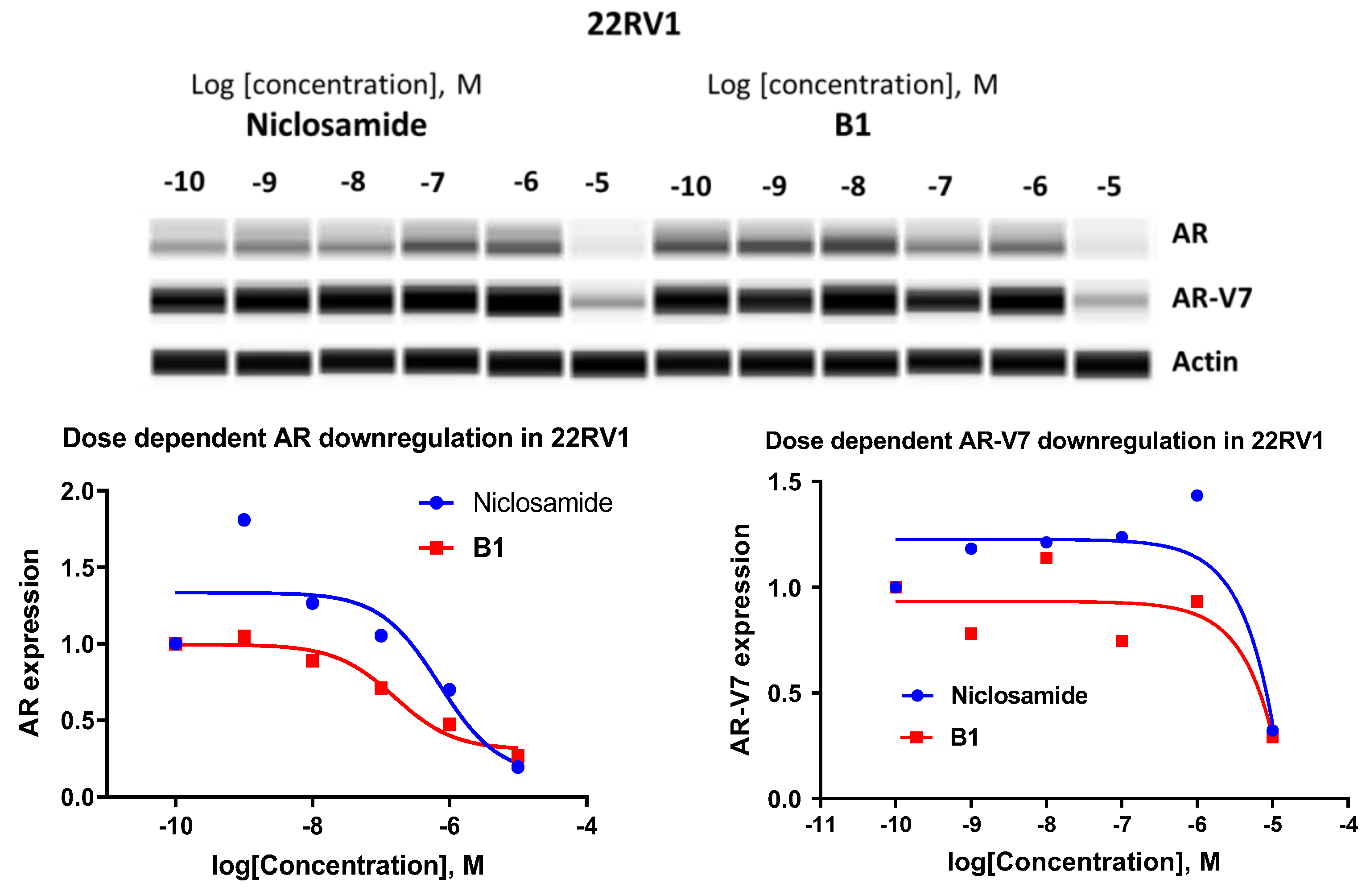 Pharmaceuticals 16 00735 g004