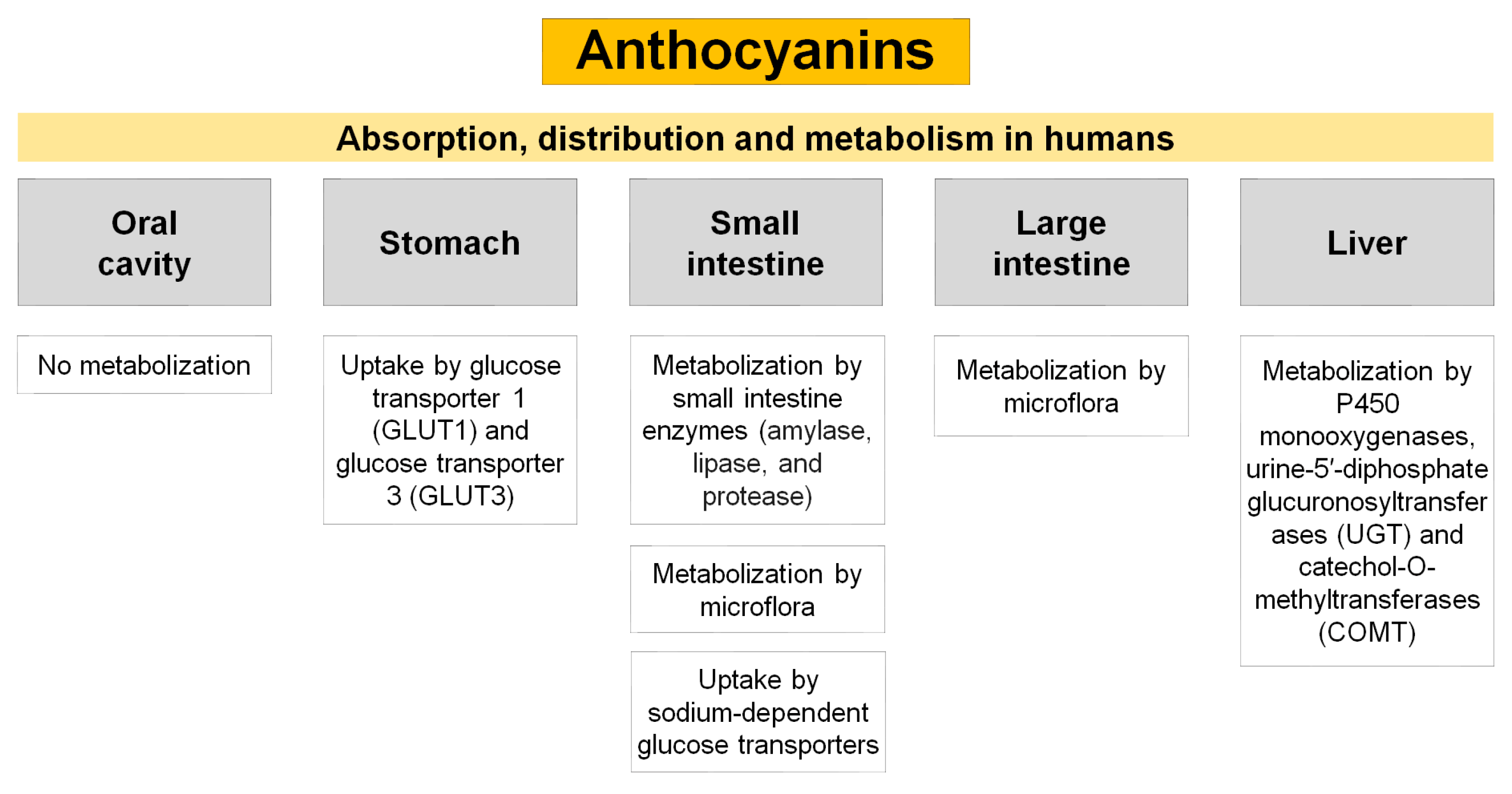 Pharmaceuticals 16 00736 g002 Pharmaceuticals 16 00736 g002