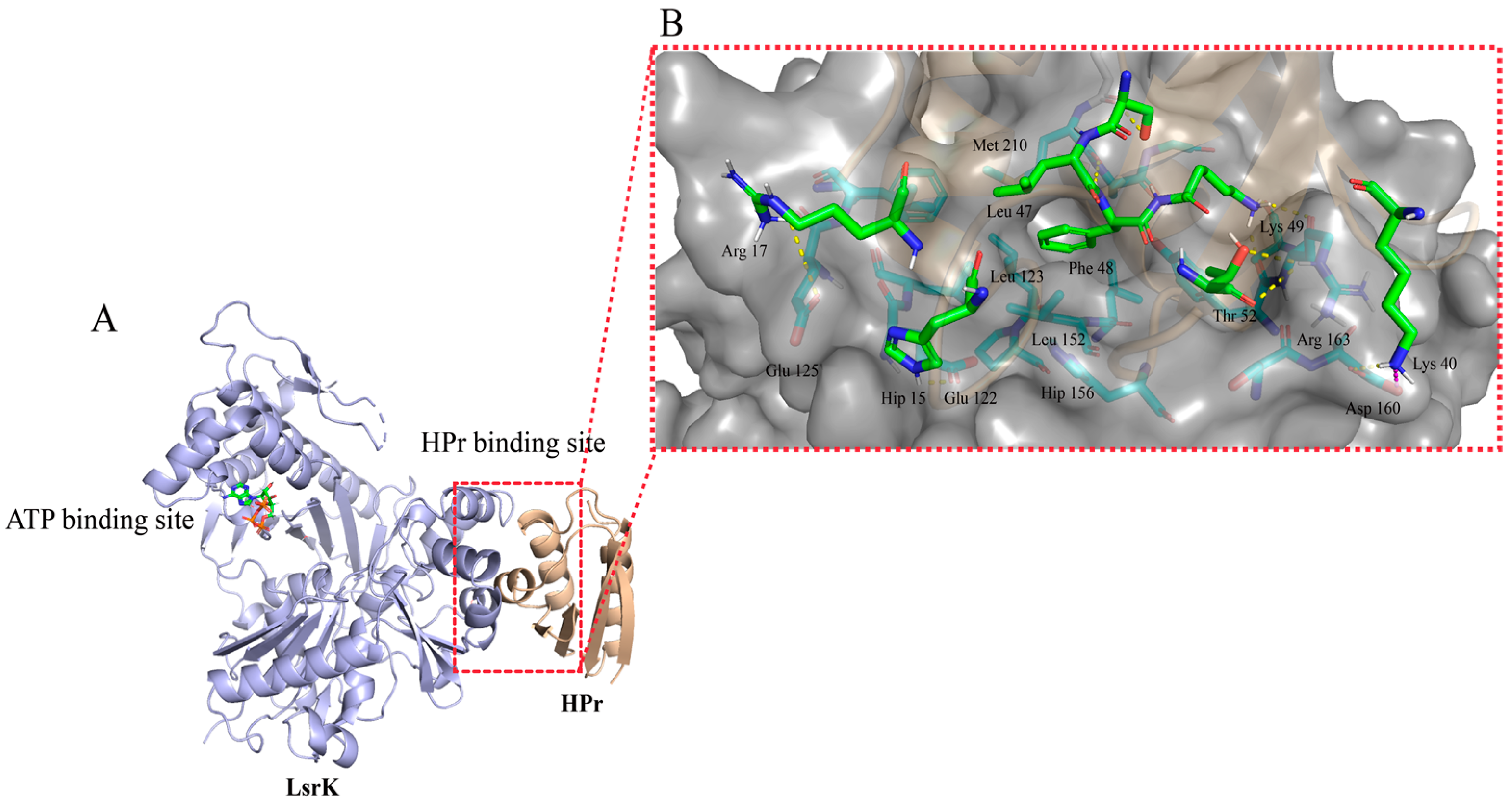 Pharmaceuticals 16 00737 g002