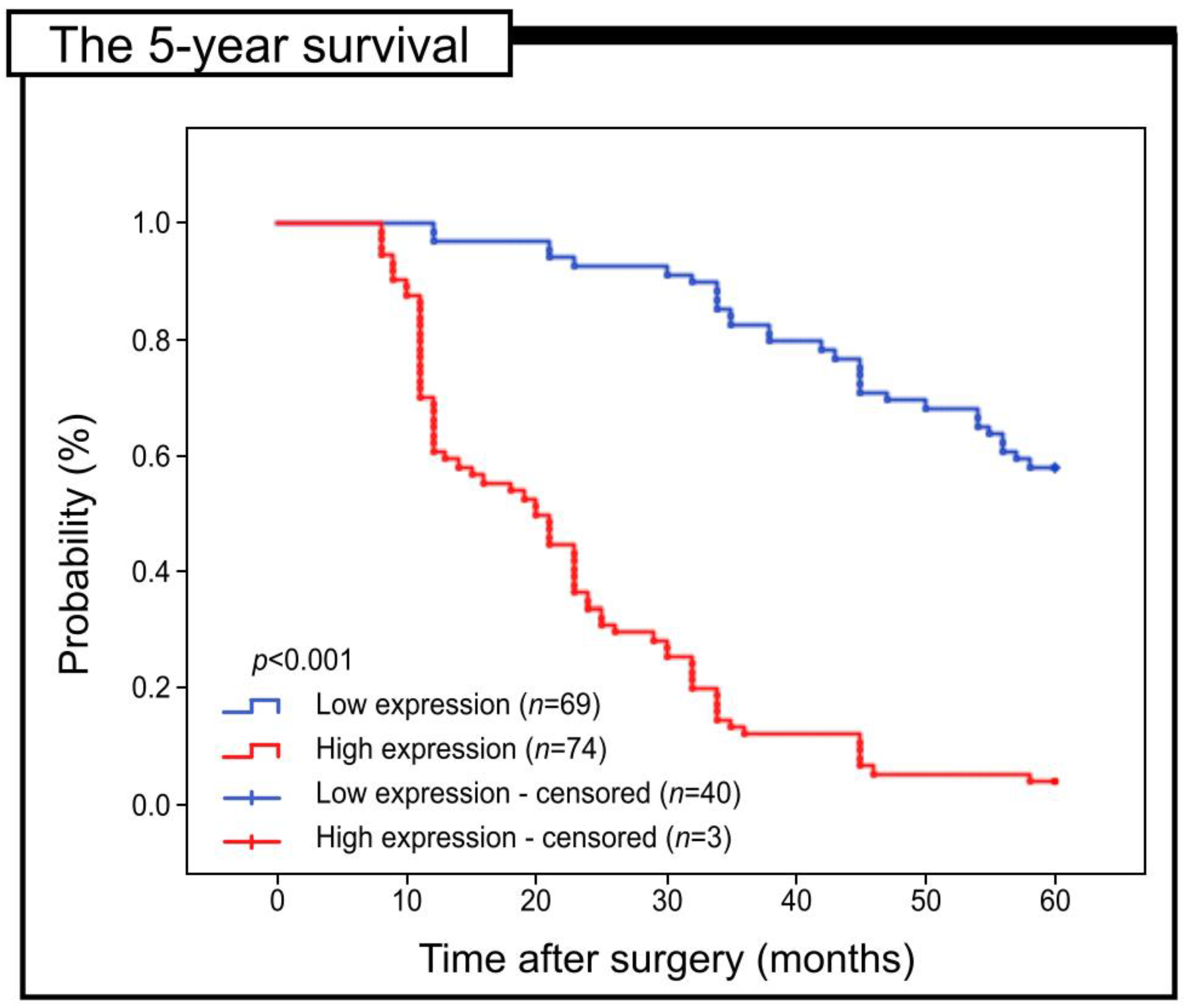 Pharmaceuticals 16 00740 g003