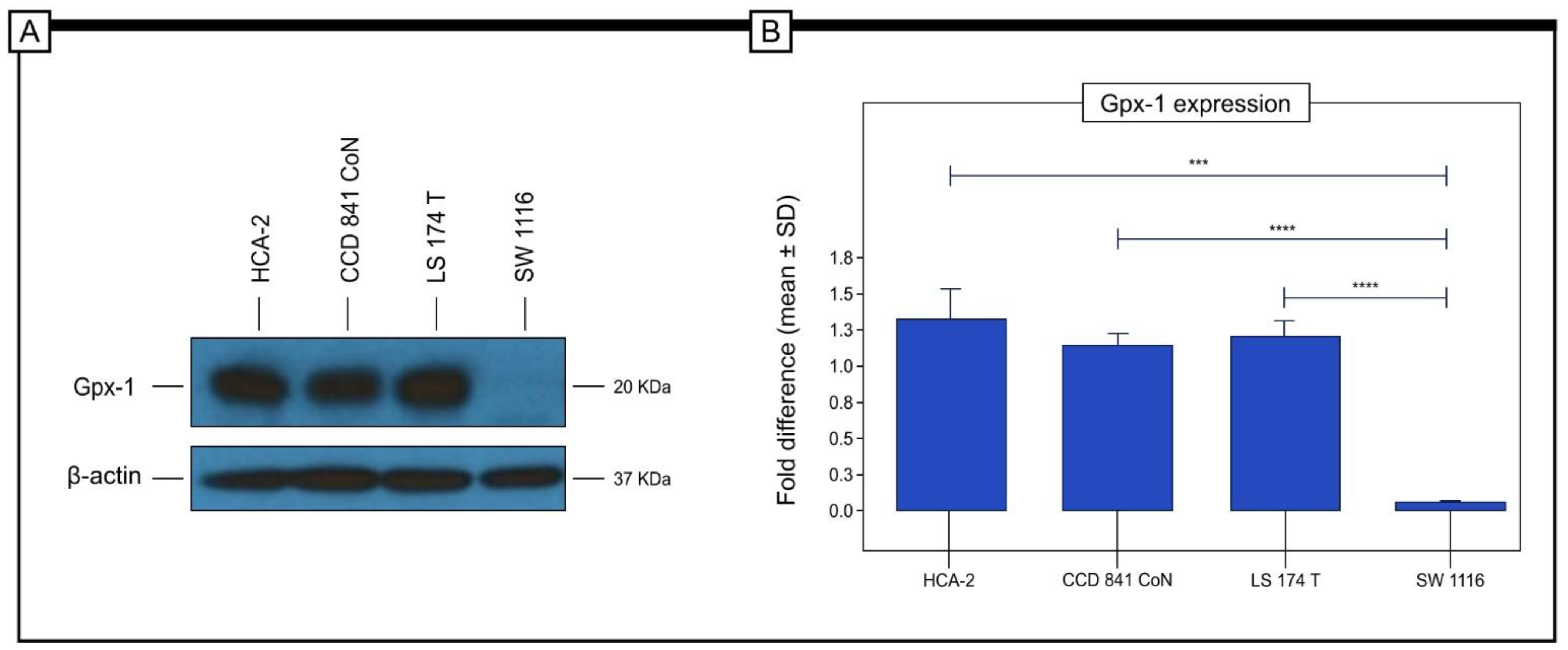 Pharmaceuticals 16 00740 g006