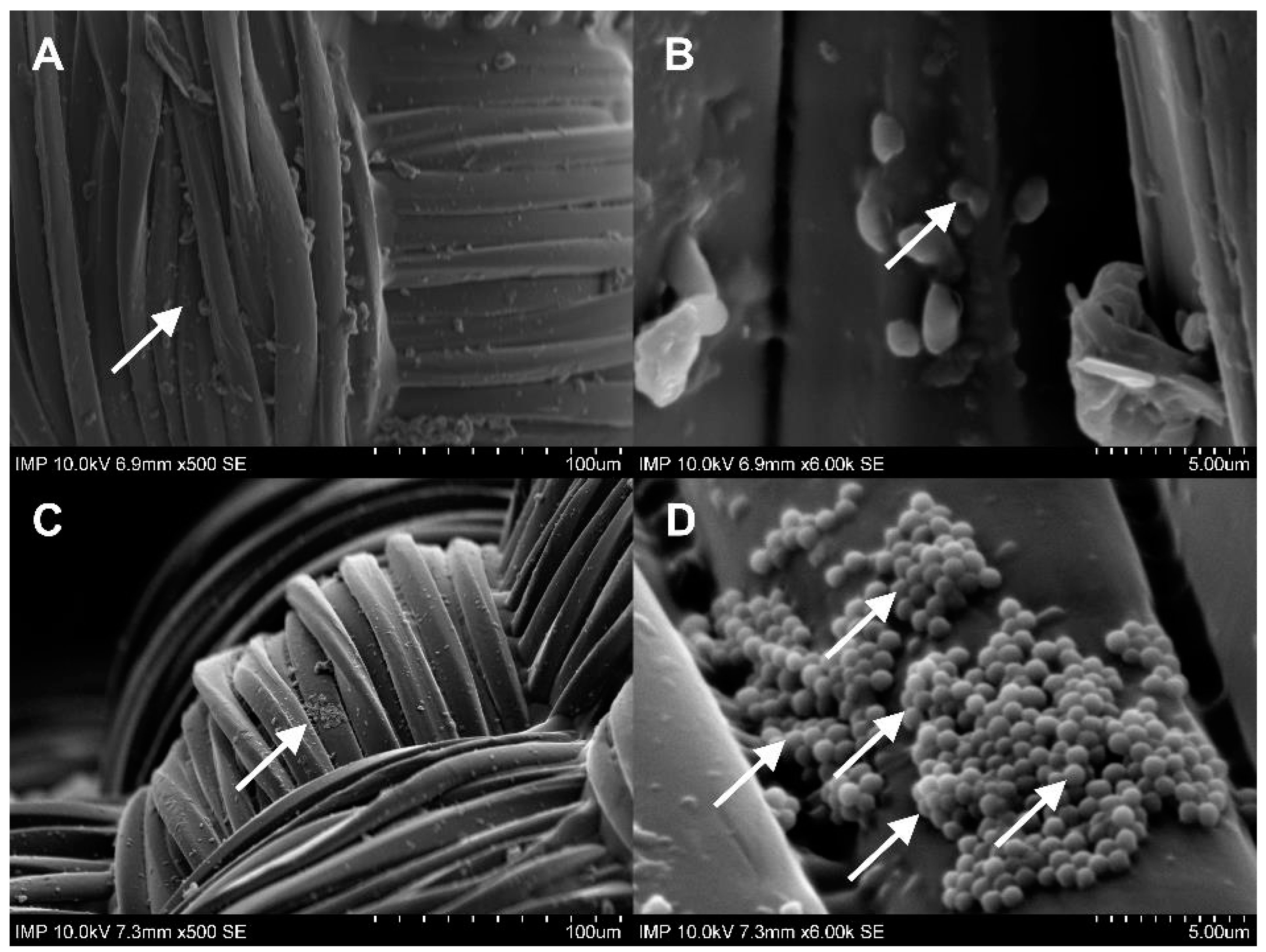 Pharmaceuticals 16 00744 g004