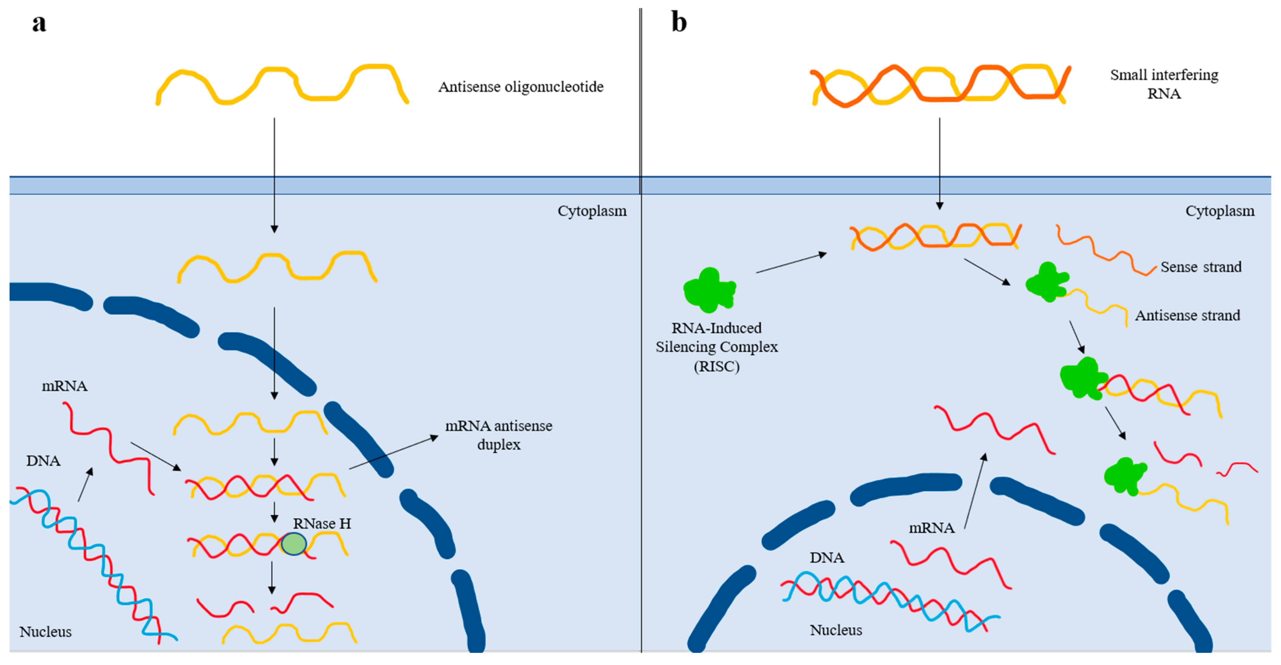 Pharmaceuticals 16 00750 g002