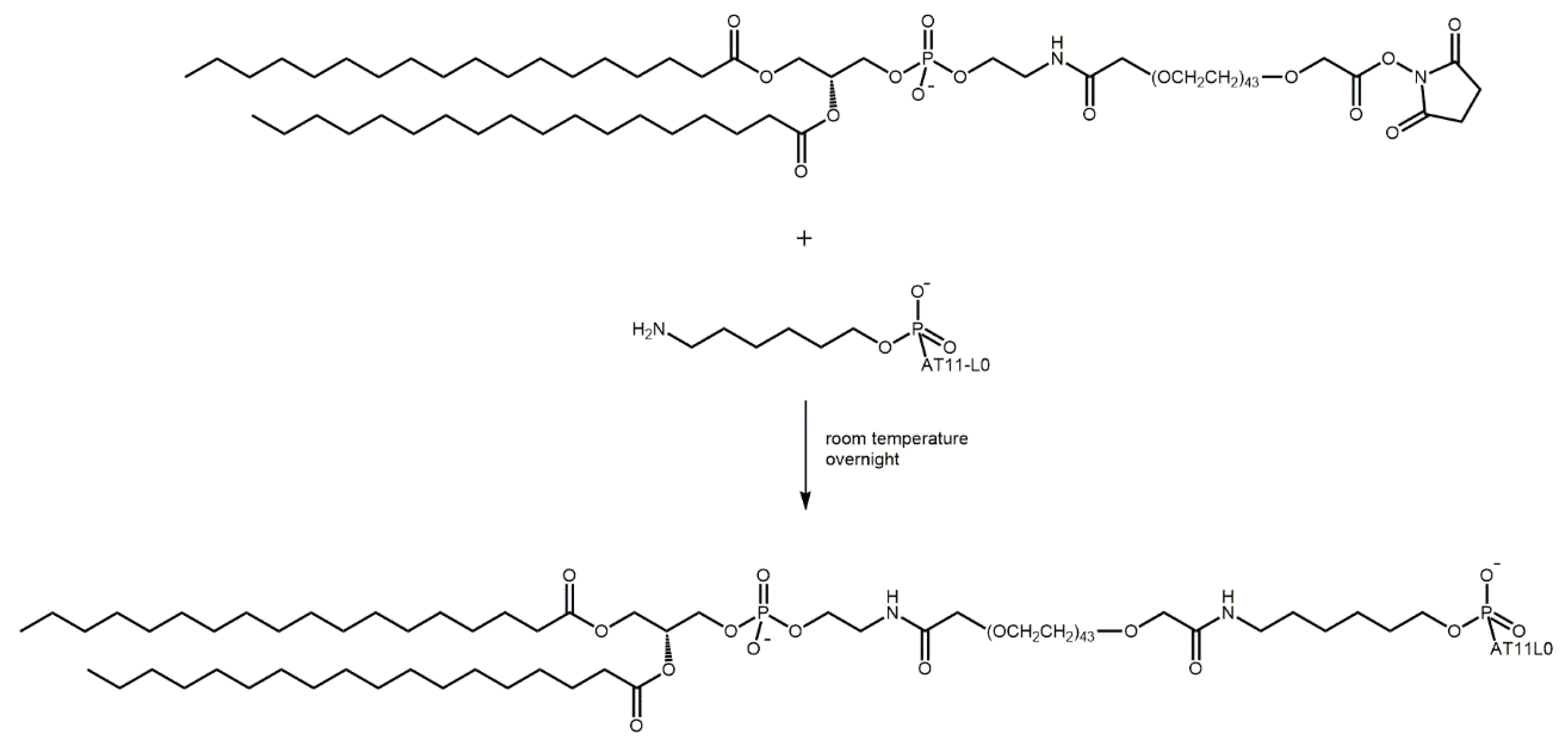 Pharmaceuticals 16 00751 g005