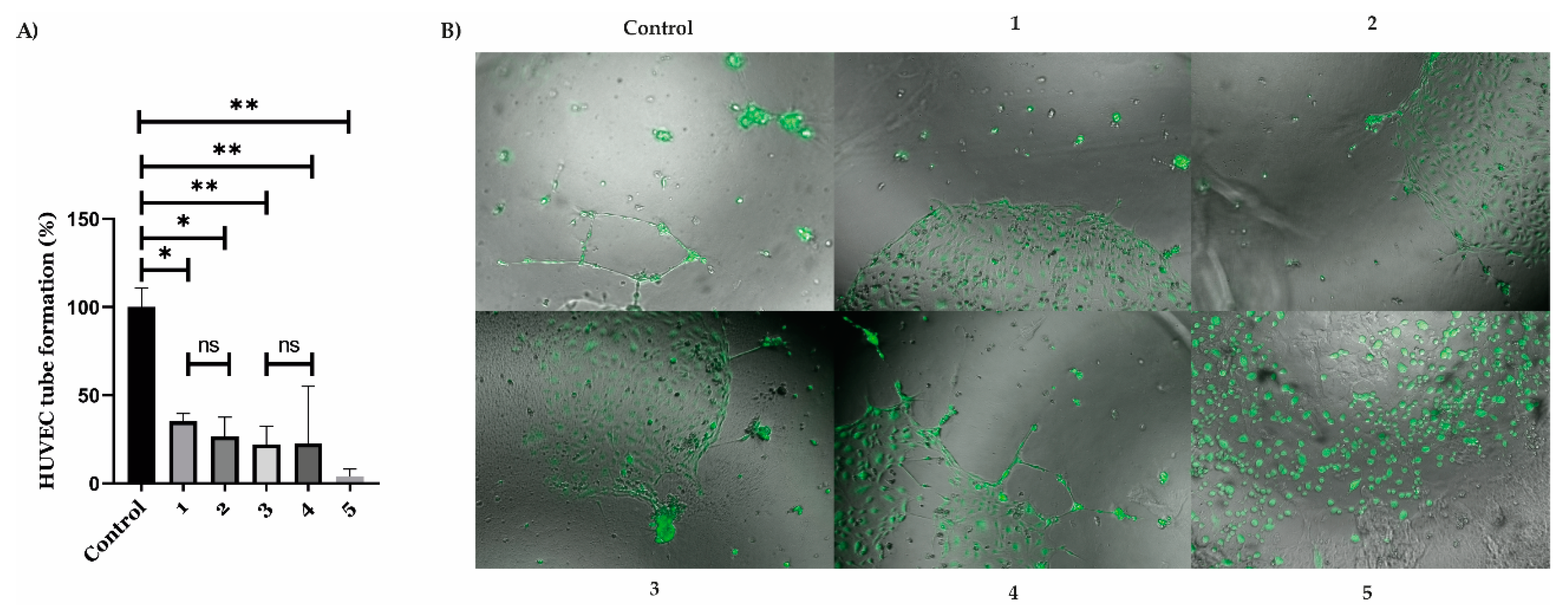 Pharmaceuticals 16 00751 g007