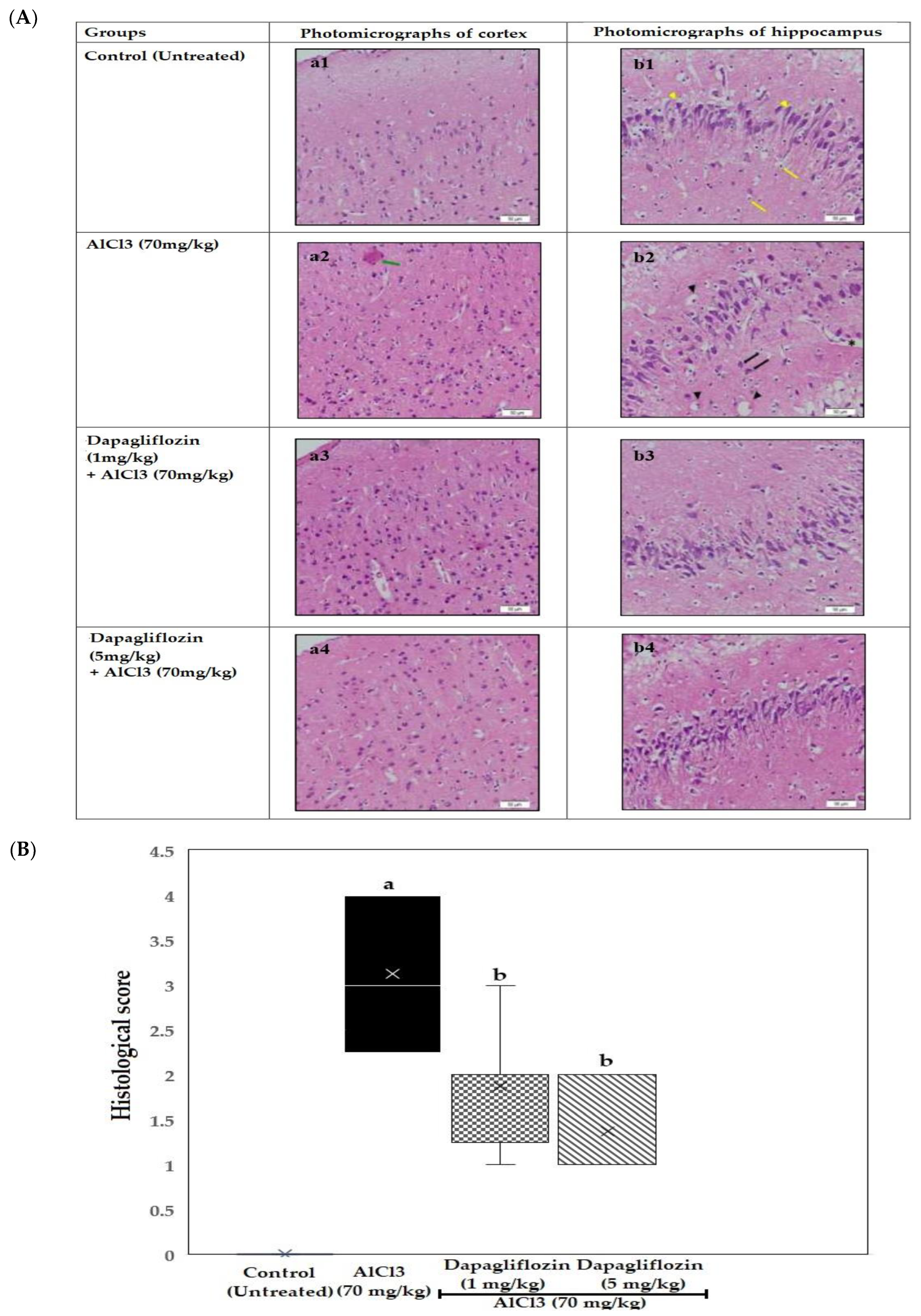 Pharmaceuticals 16 00753 g004