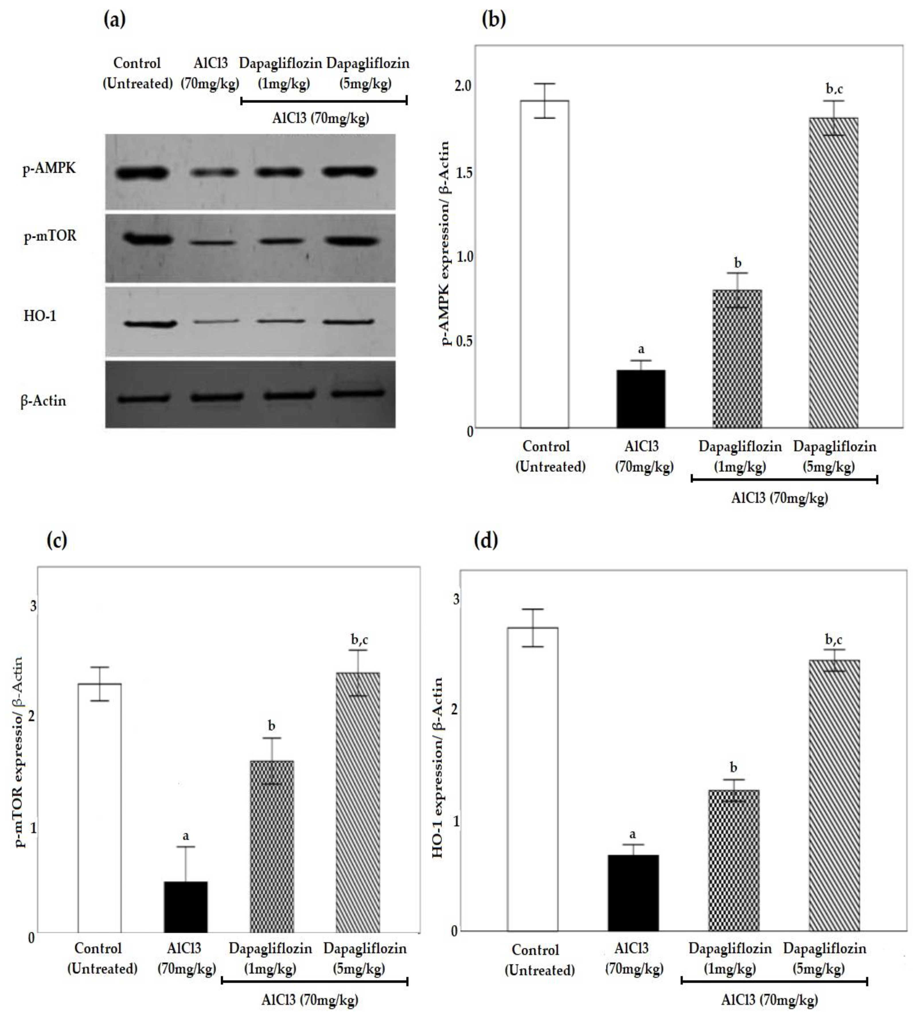 Pharmaceuticals 16 00753 g006
