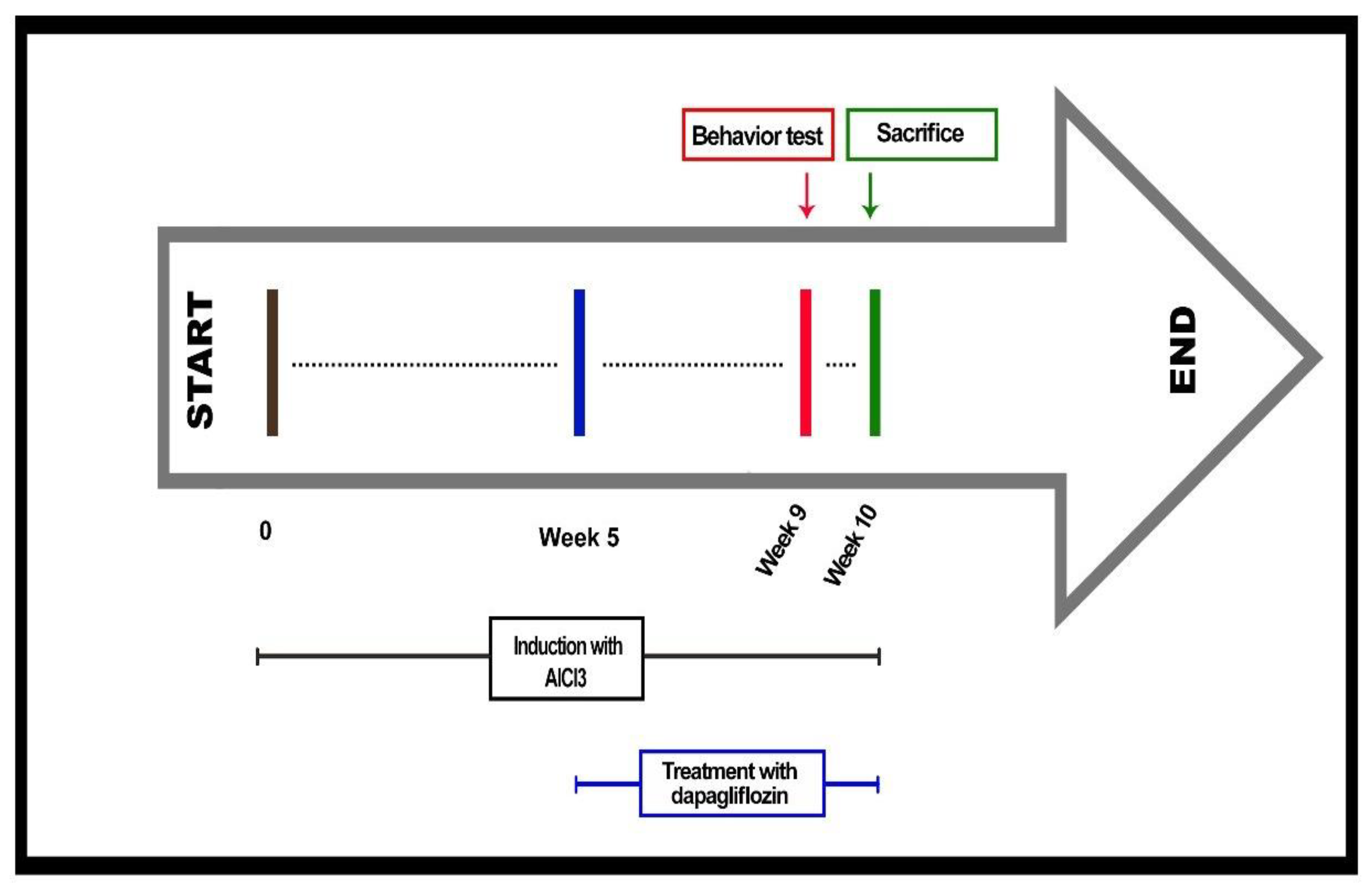 Pharmaceuticals 16 00753 g007