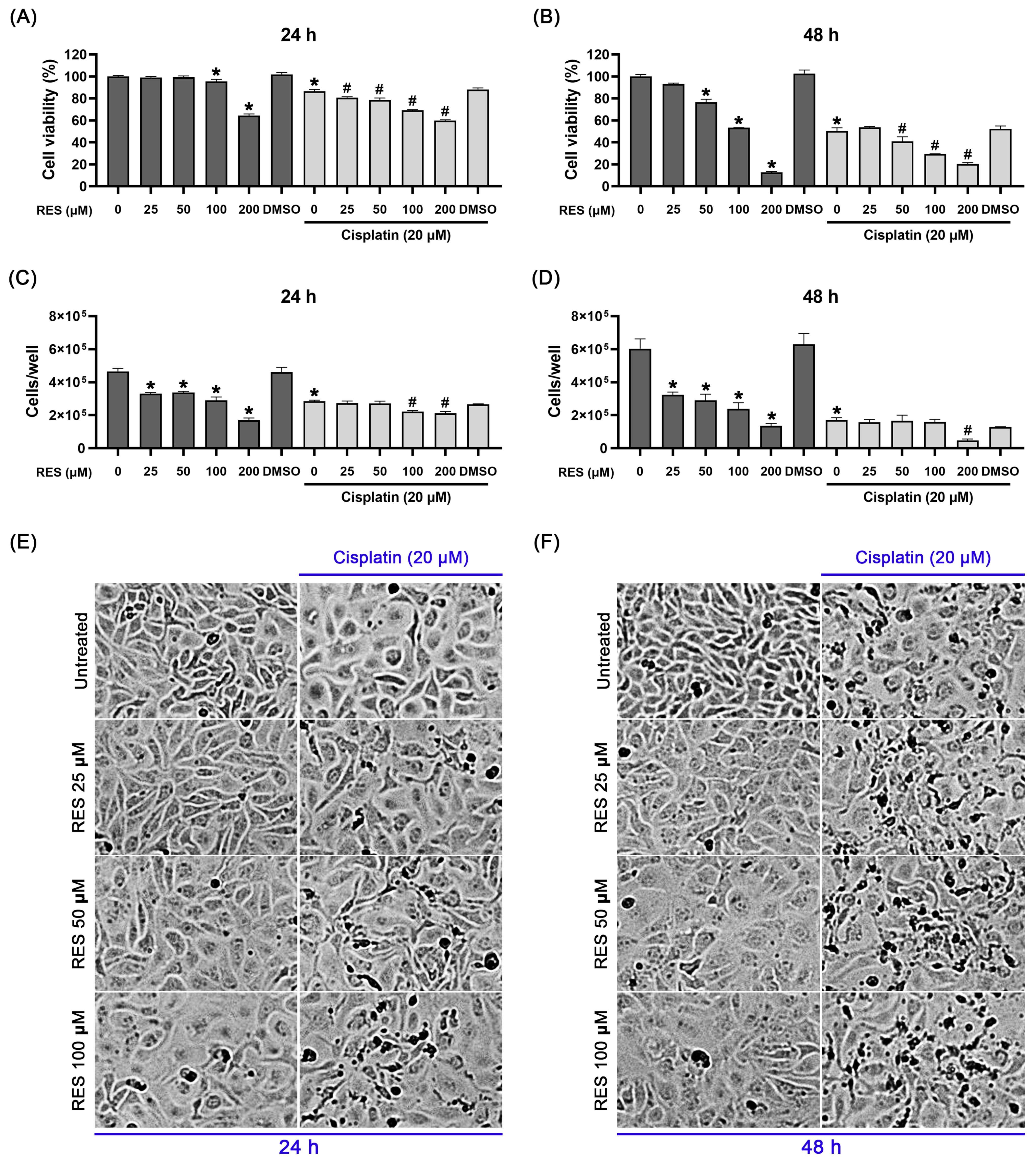 Pharmaceuticals 16 00755 g001
