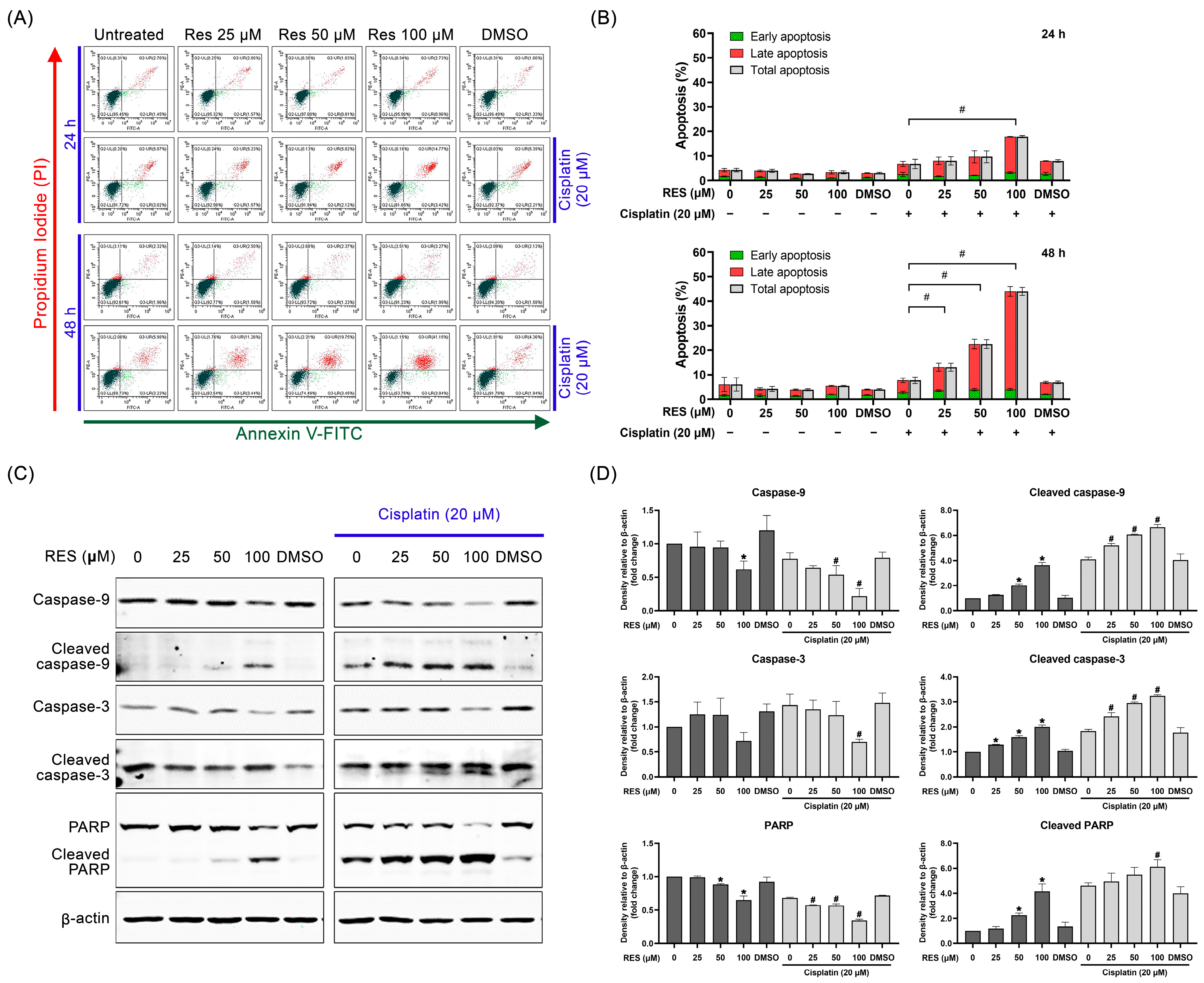 Pharmaceuticals 16 00755 g002