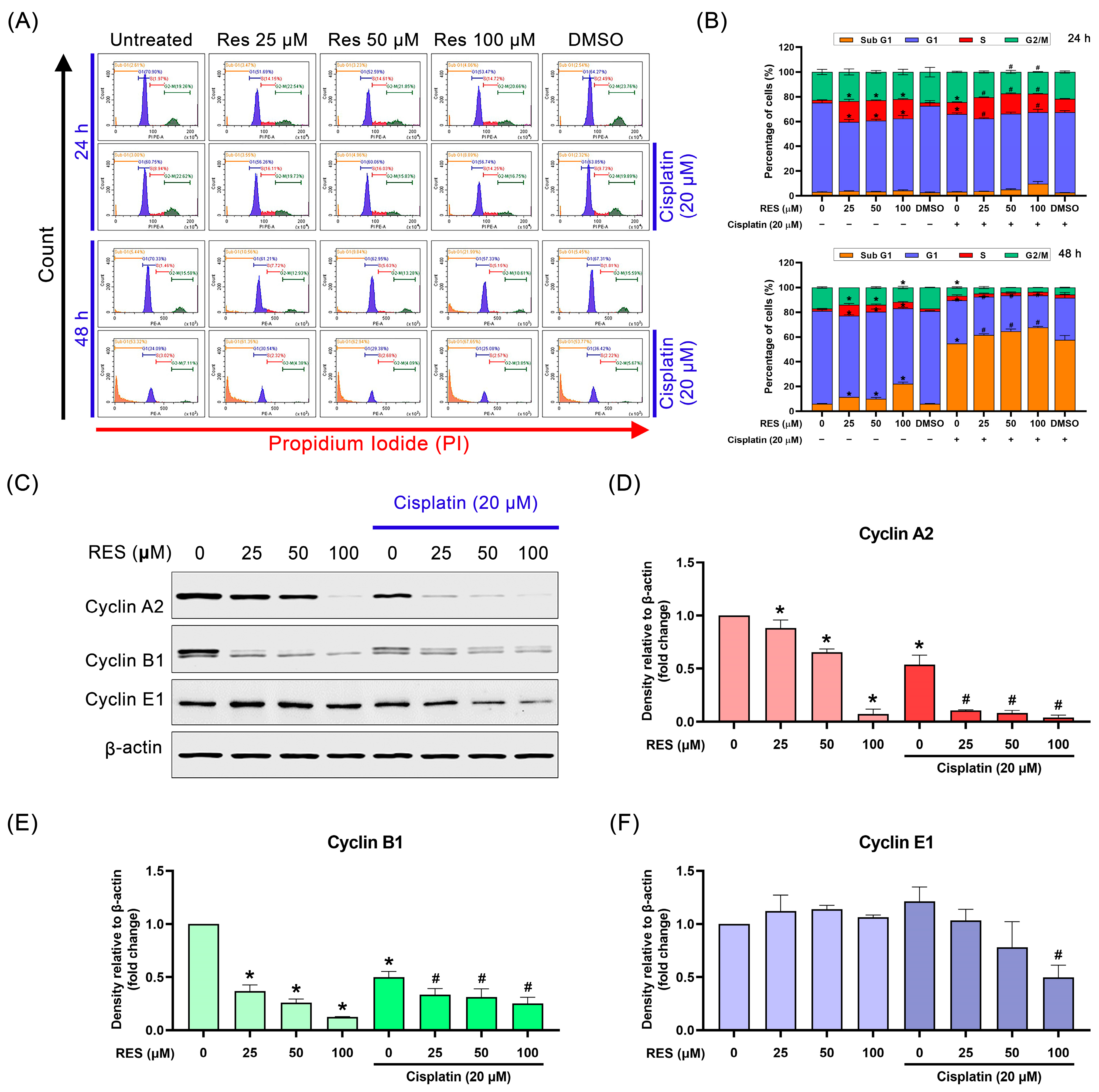 Pharmaceuticals 16 00755 g003