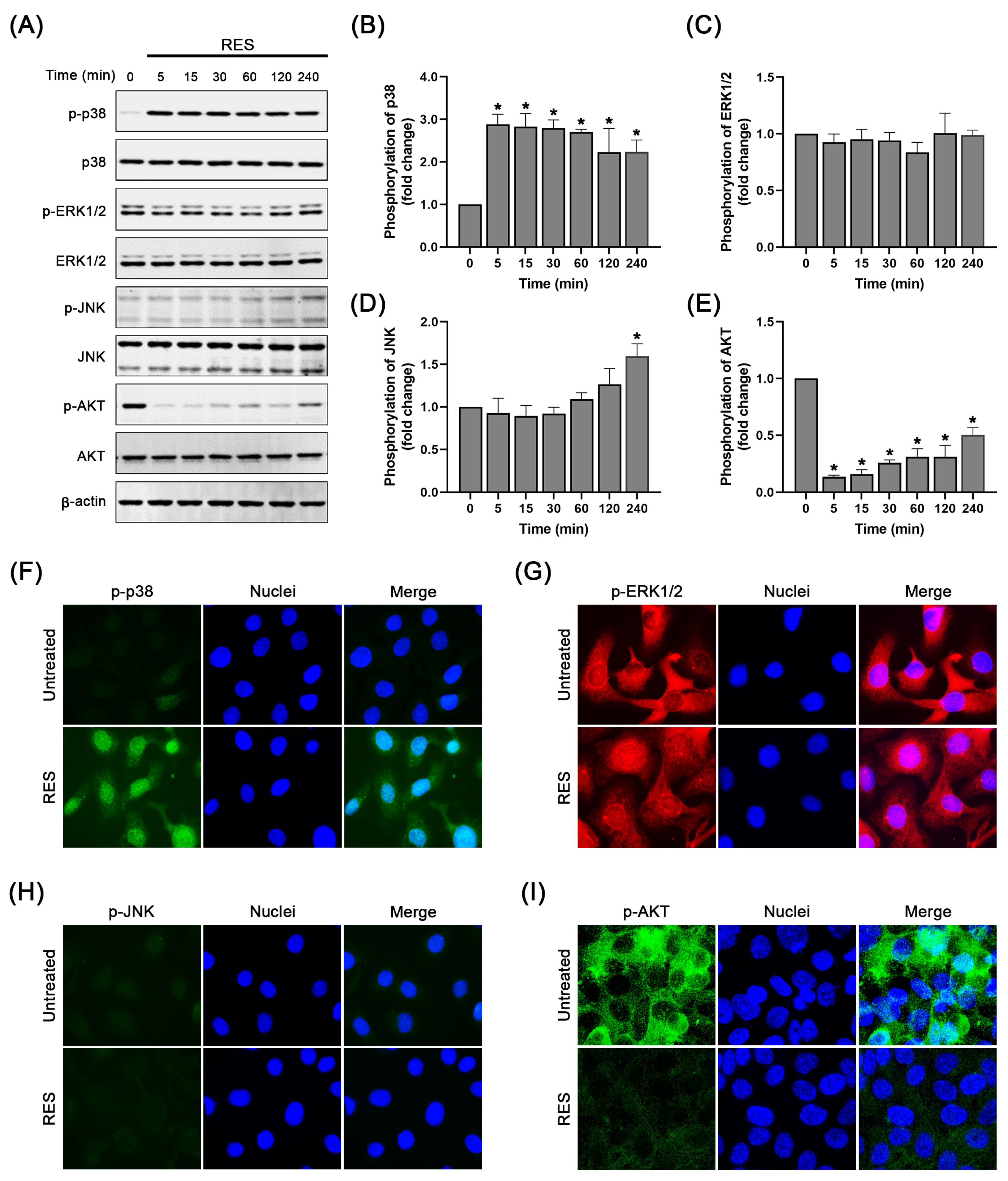 Pharmaceuticals 16 00755 g004