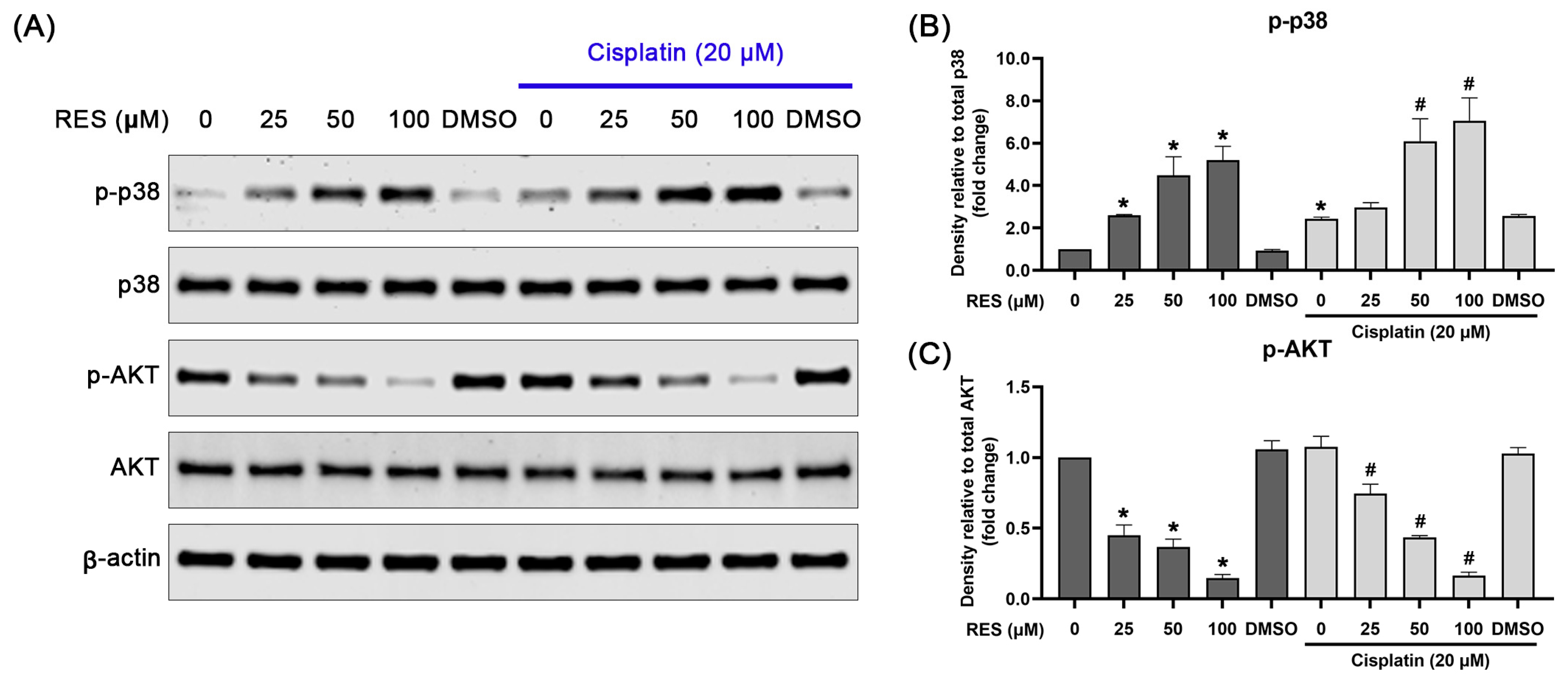 Pharmaceuticals 16 00755 g005