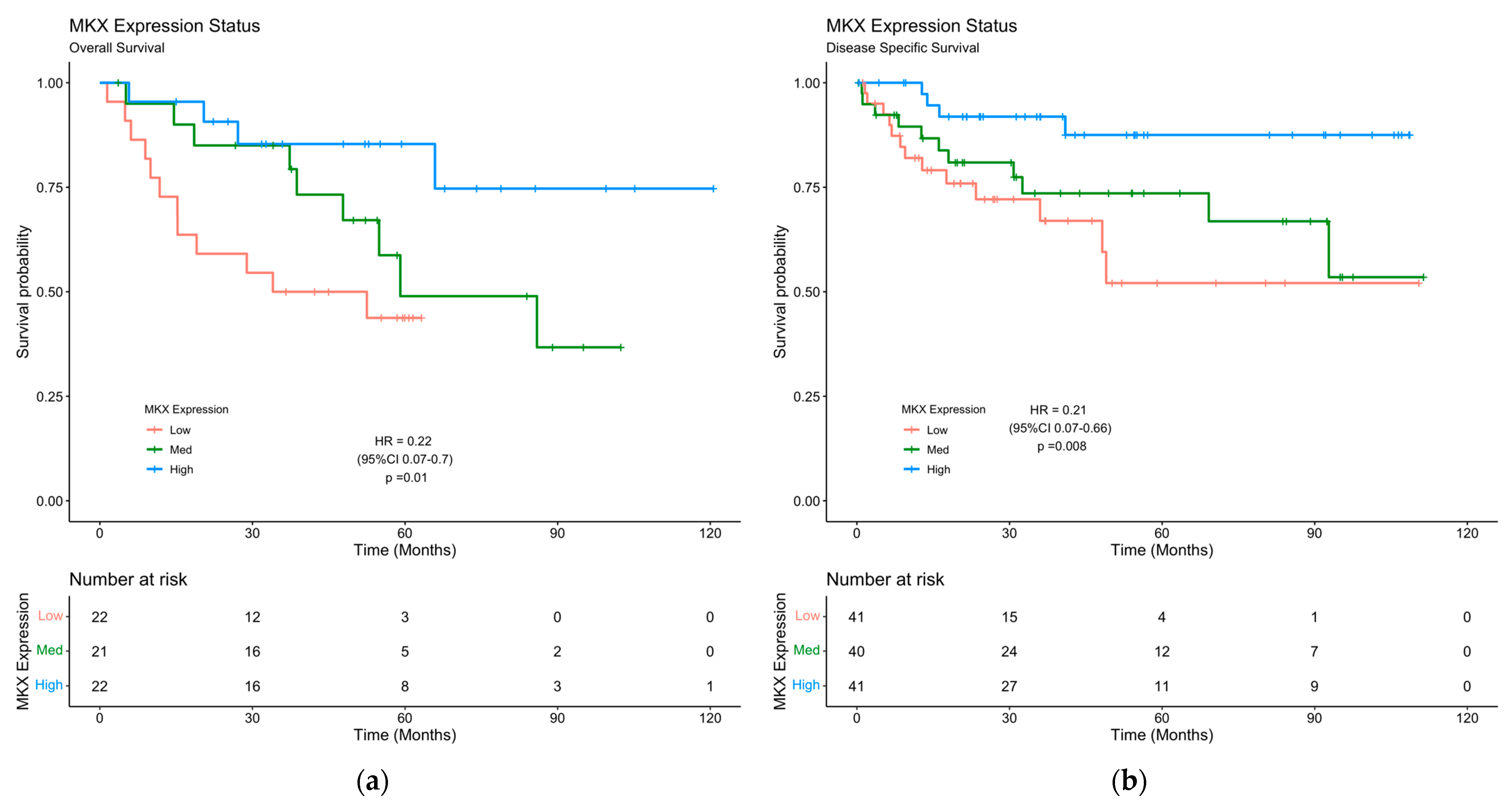 Pharmaceuticals 16 00757 g006