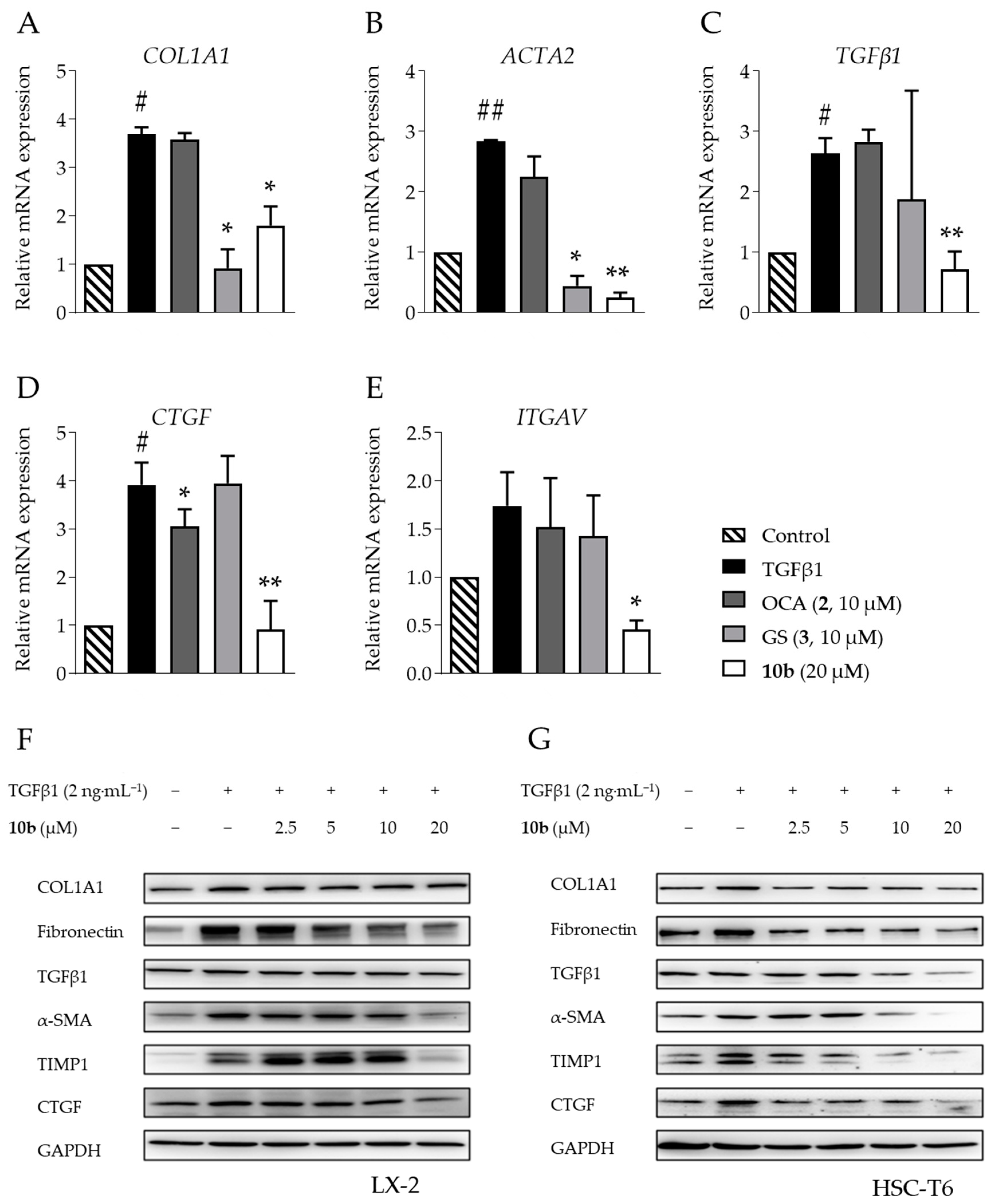 Pharmaceuticals 16 00758 g005