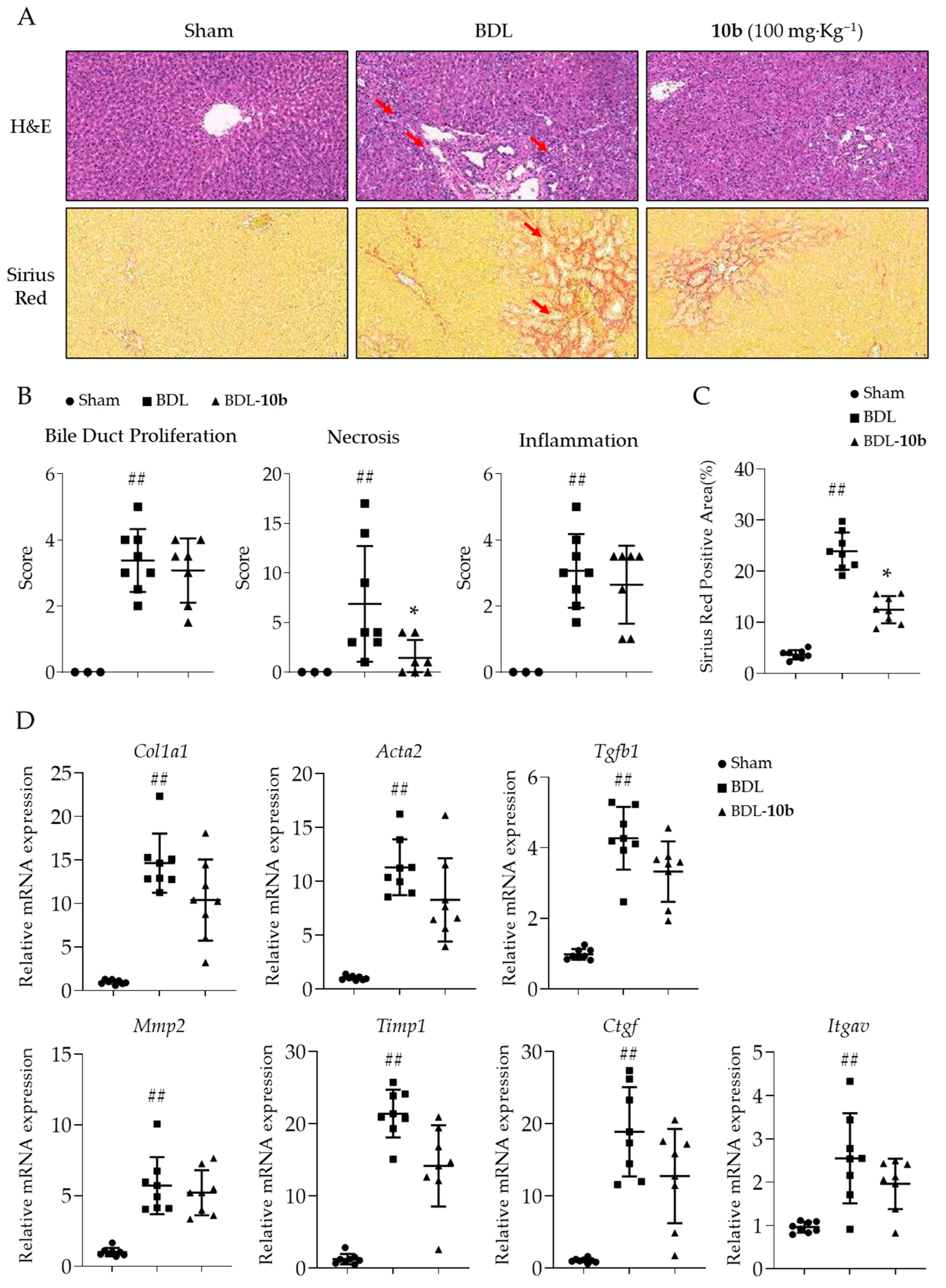 Pharmaceuticals 16 00758 g006