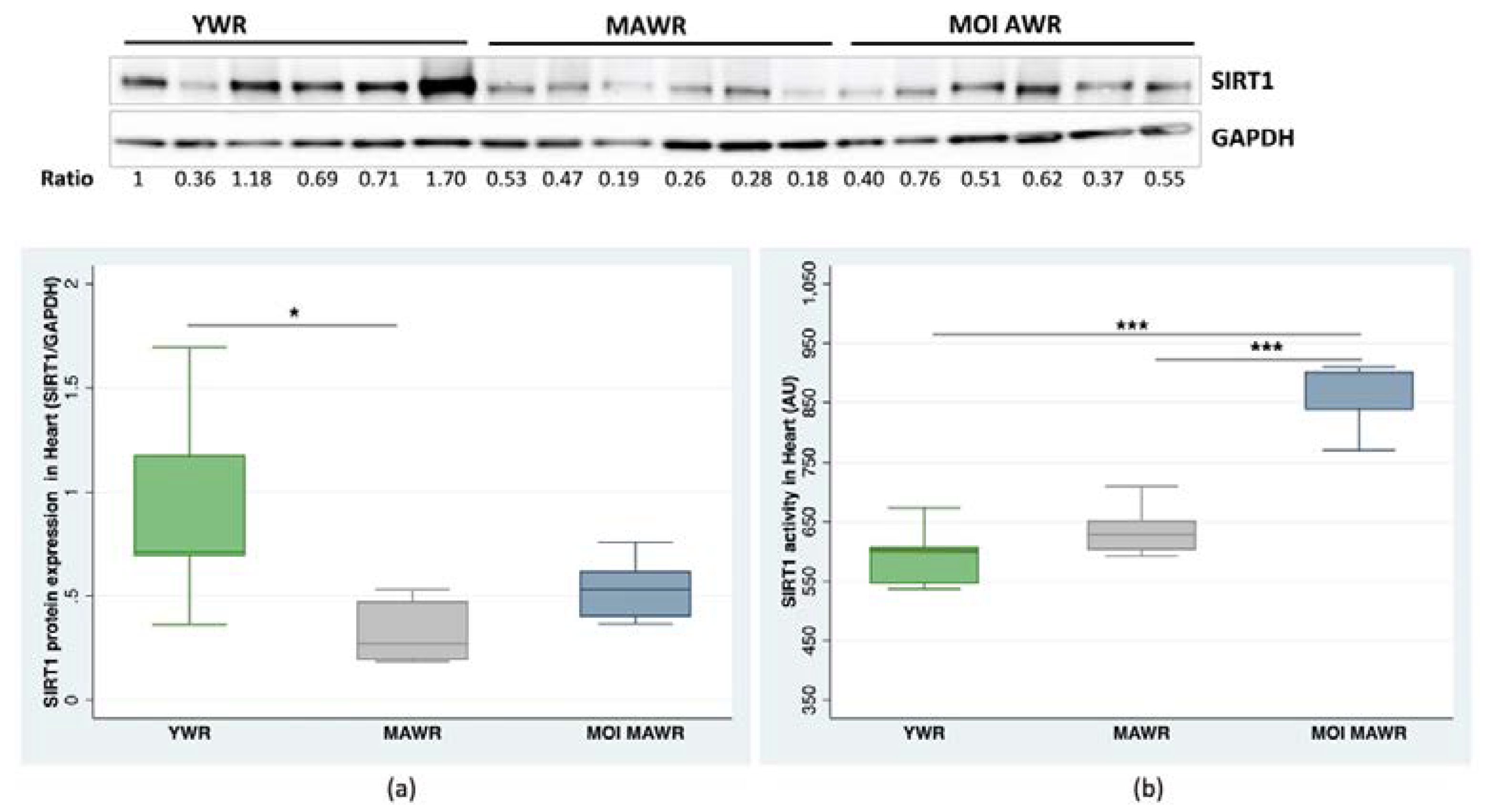 Pharmaceuticals 16 00761 g001