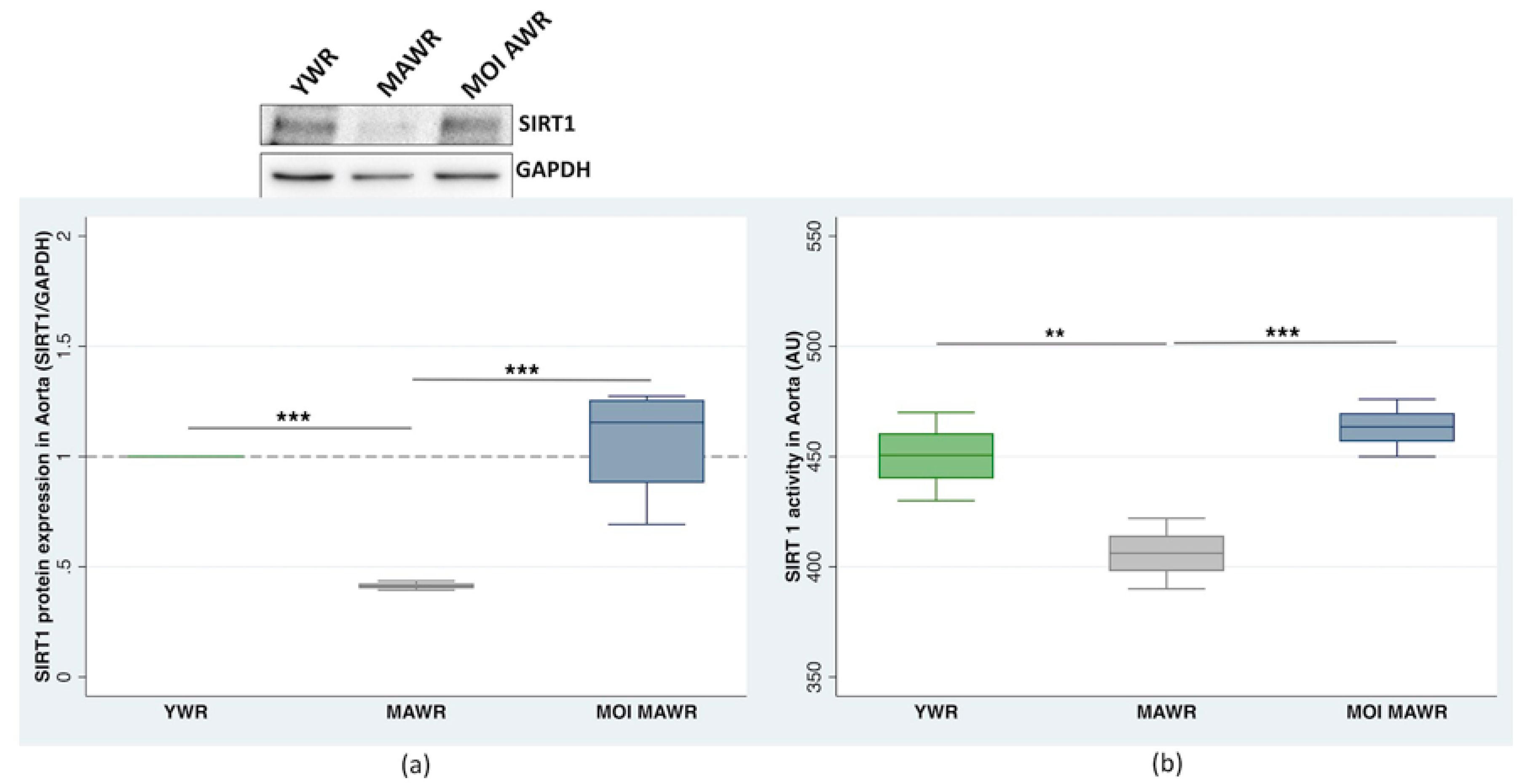 Pharmaceuticals 16 00761 g002