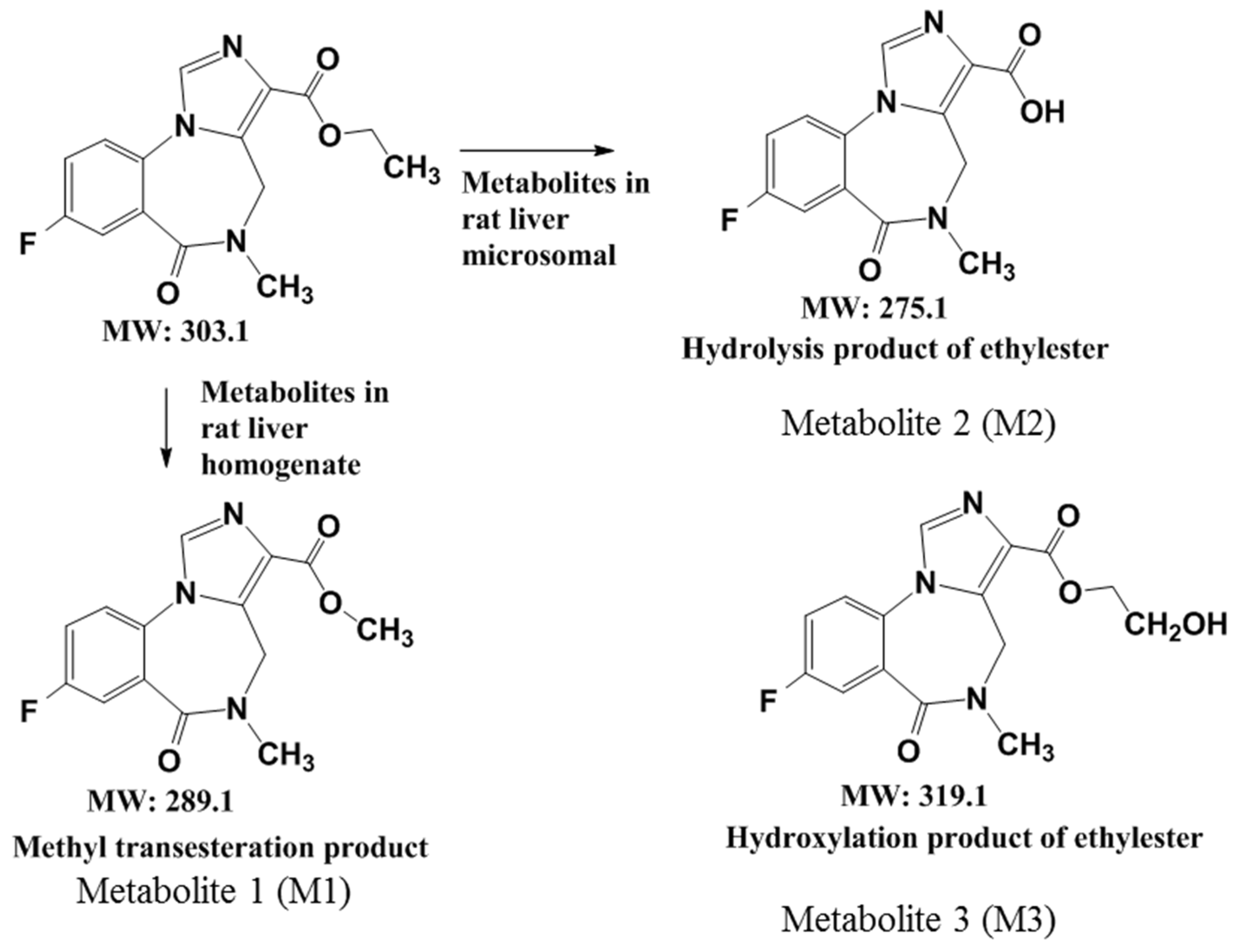 Pharmaceuticals 16 00764 g005