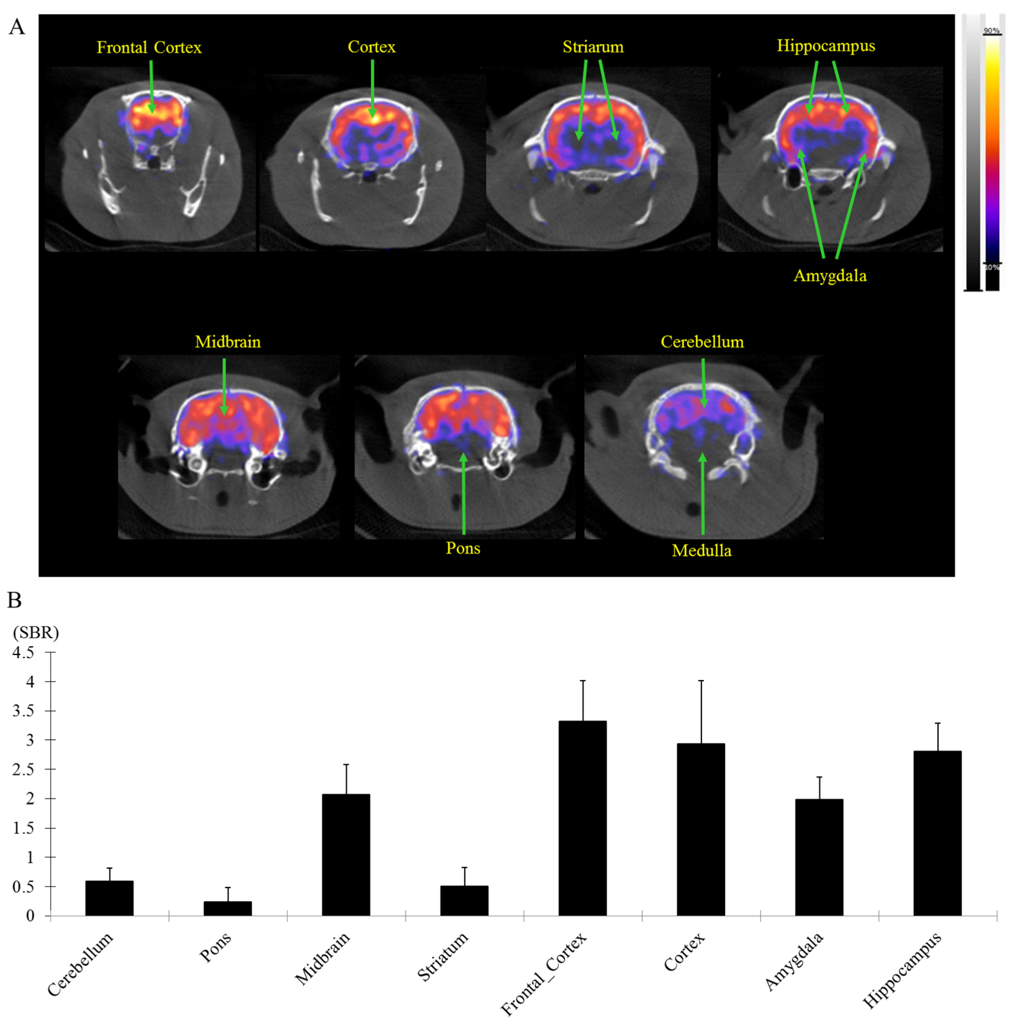 Pharmaceuticals 16 00764 g006