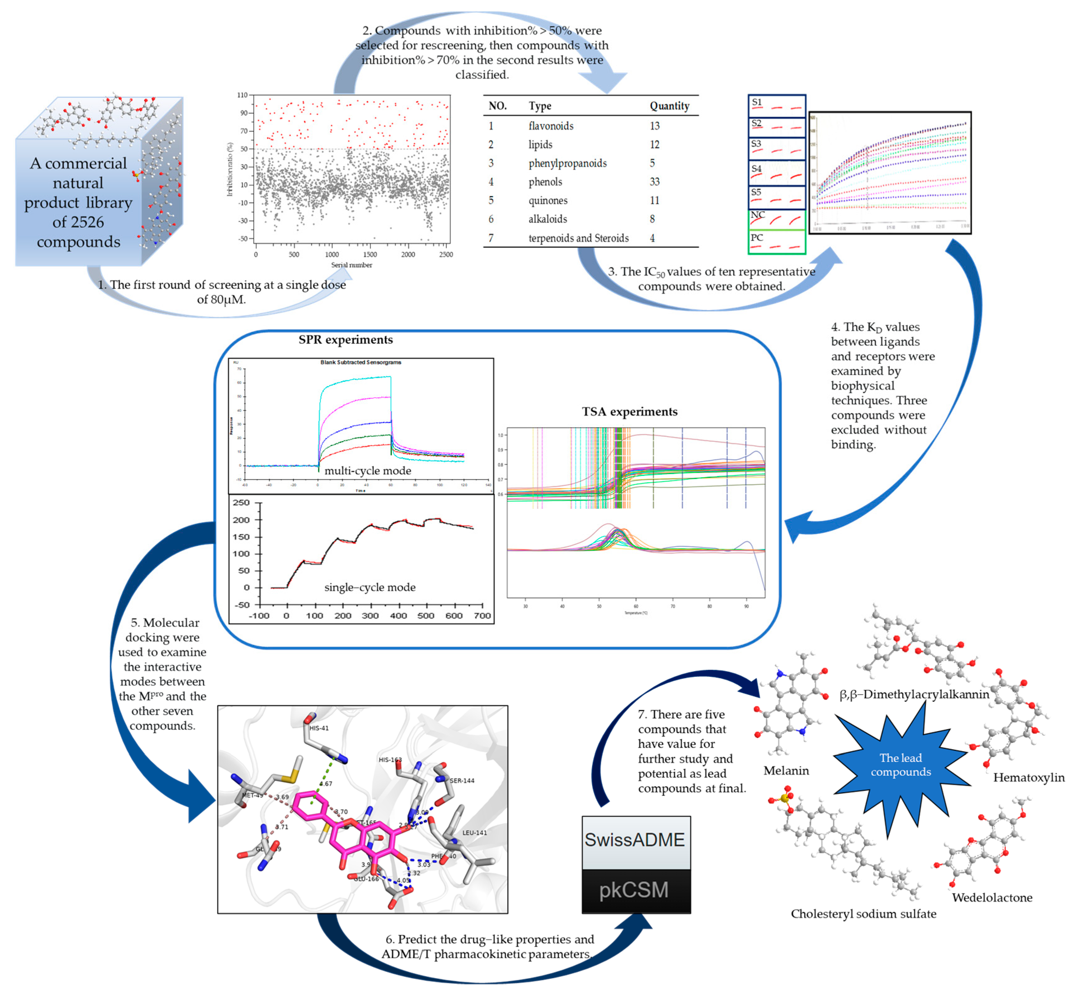 Pharmaceuticals 16 00767 g001 Pharmaceuticals 16 00767 g001