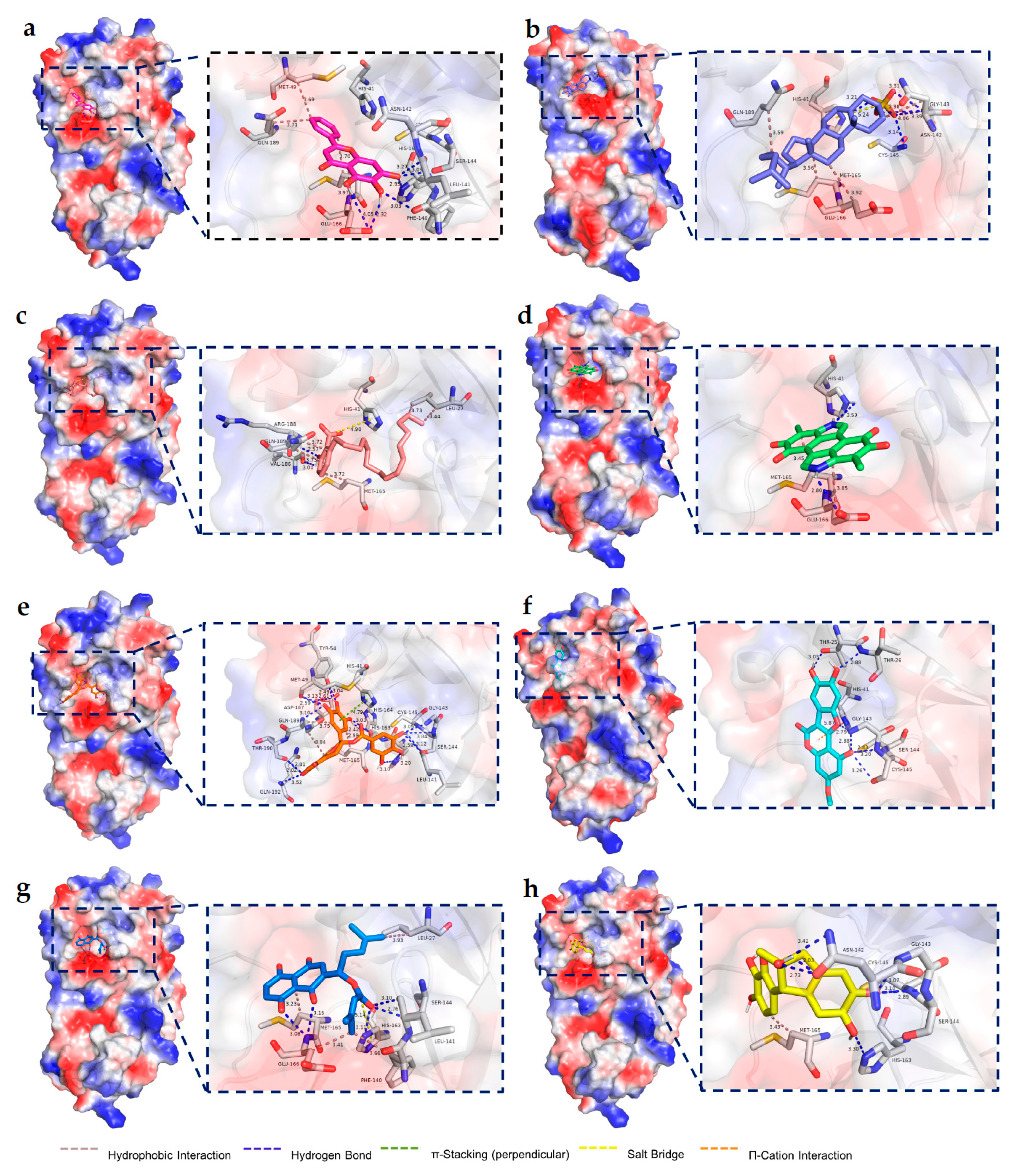 Pharmaceuticals 16 00767 g005 Pharmaceuticals 16 00767 g005